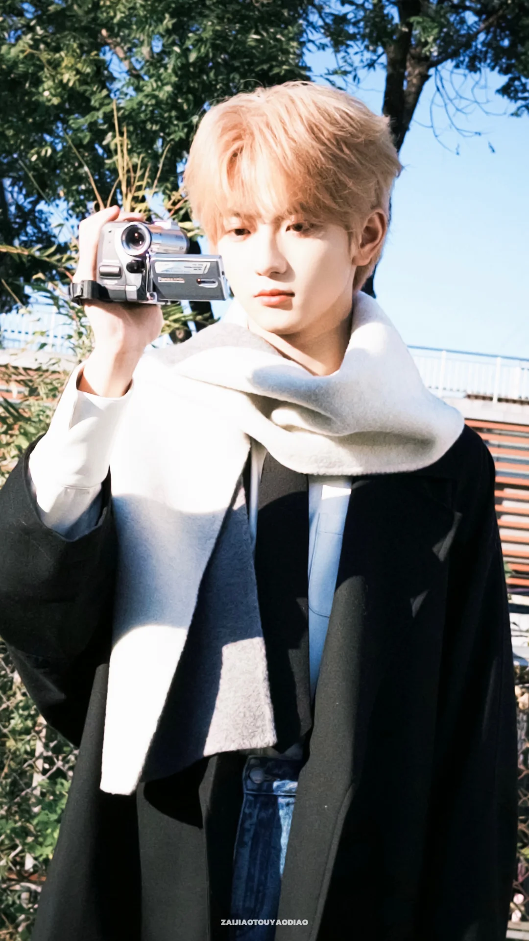 Share壁纸｜阳光下☀️