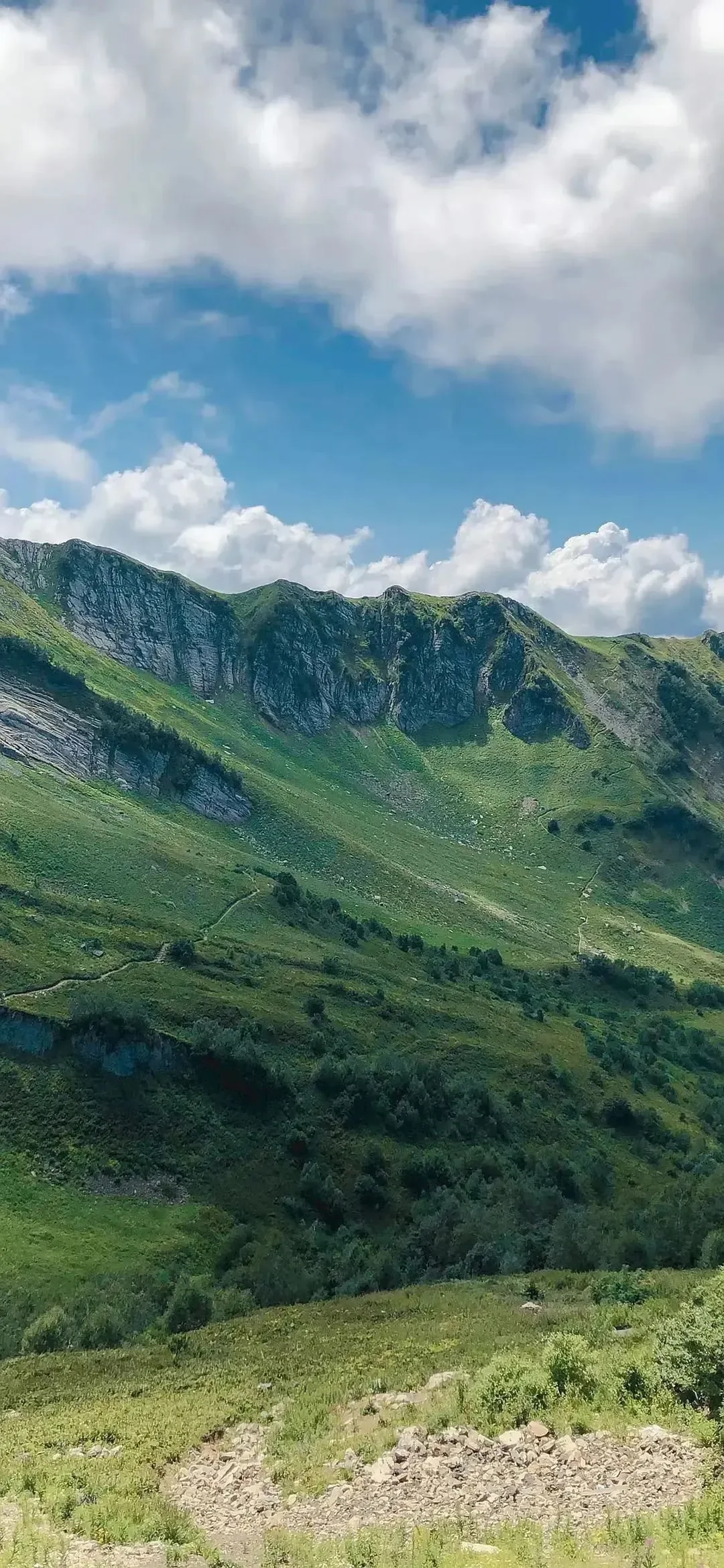 December 7, 2025｜壁纸