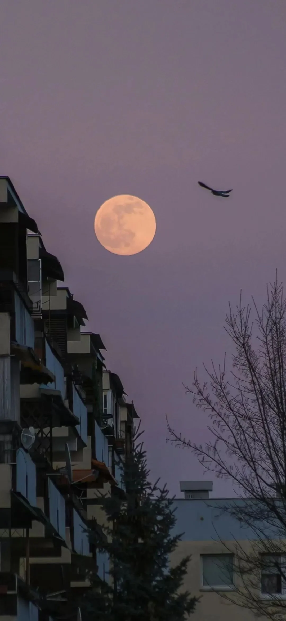日落是新一天开始的征兆