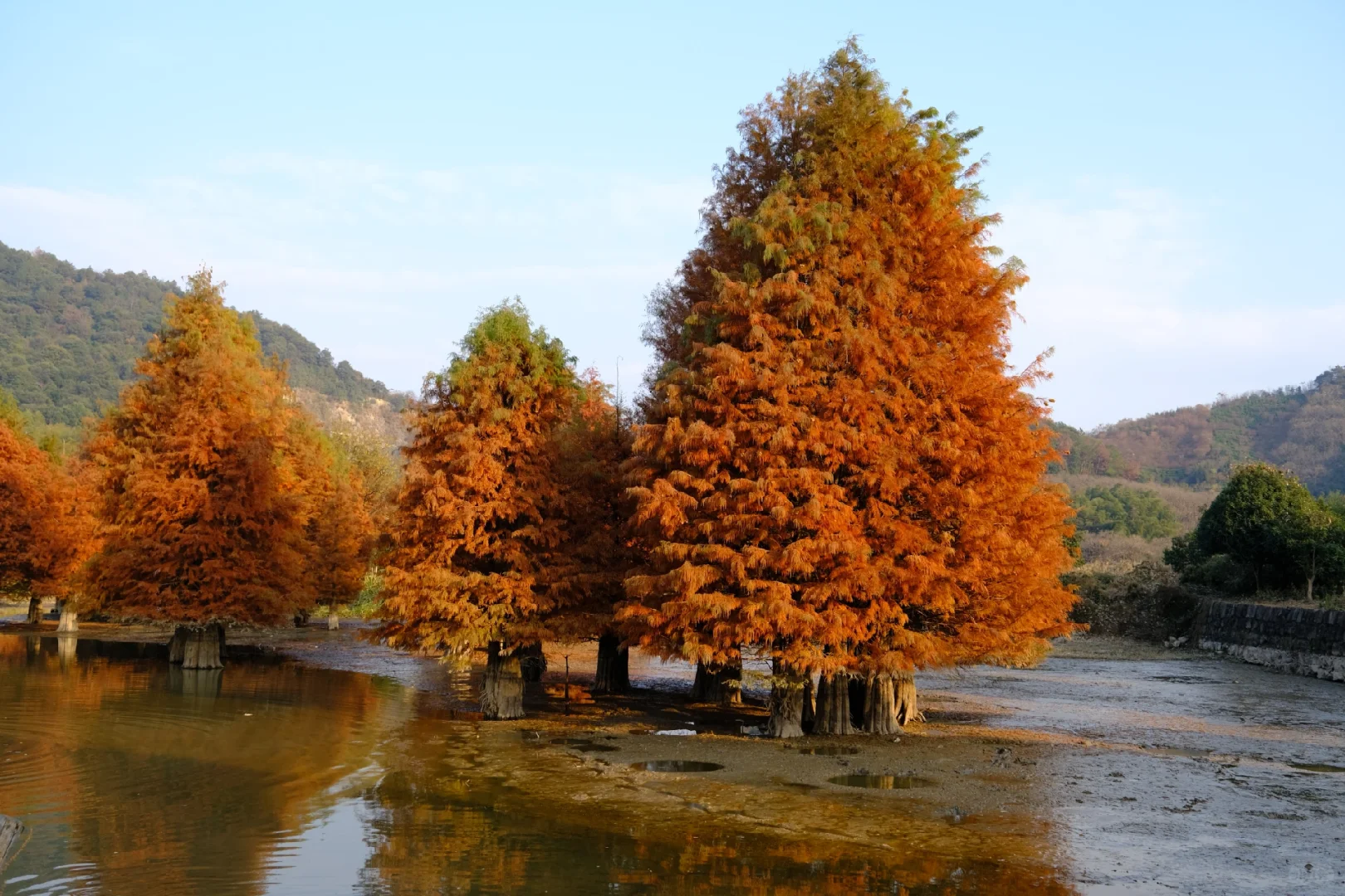 12.7下午3点左右麻岙水库偶遇美少女