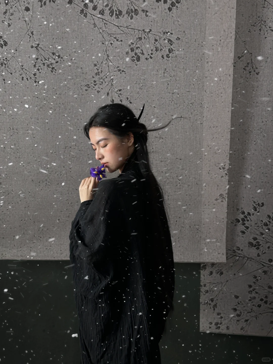 Live｜不是，也没人告诉我下雪的禅意写真