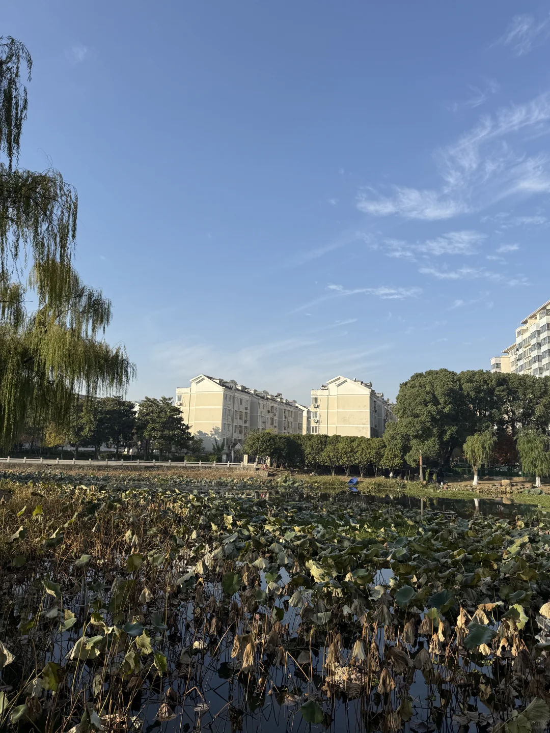 图片壁纸 分享随手拍