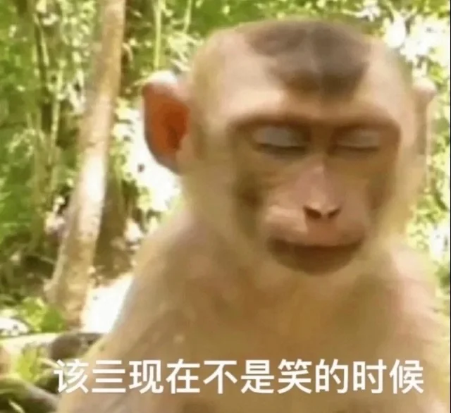 符合牛马精神状态的表情包，第一期～