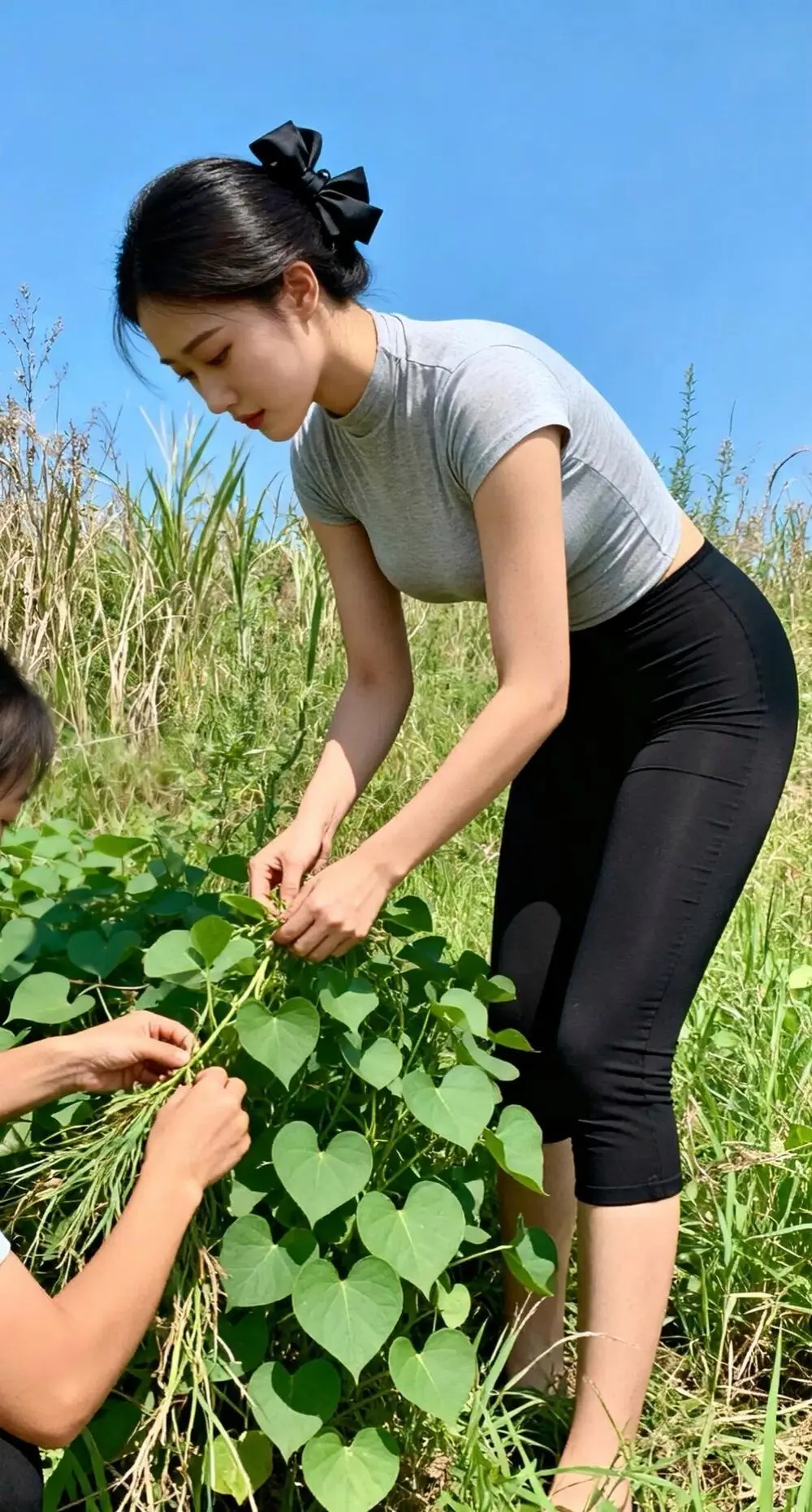 跟朋友一起去挖野菜了~挖到了吗？