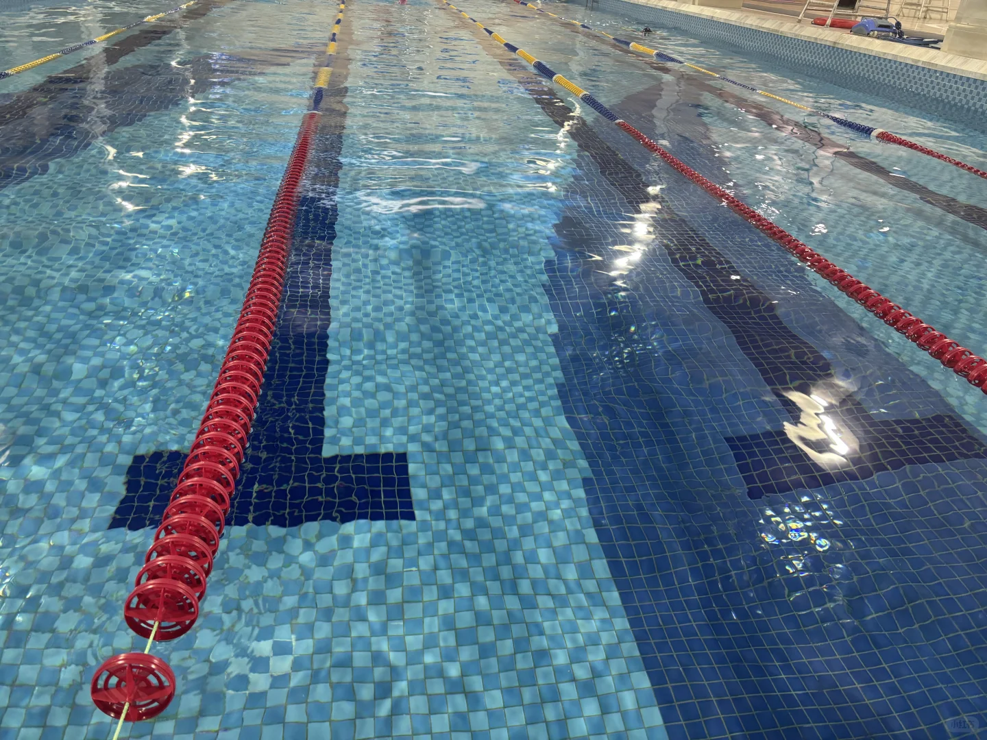 来学游泳啊 对女生有好的女教练