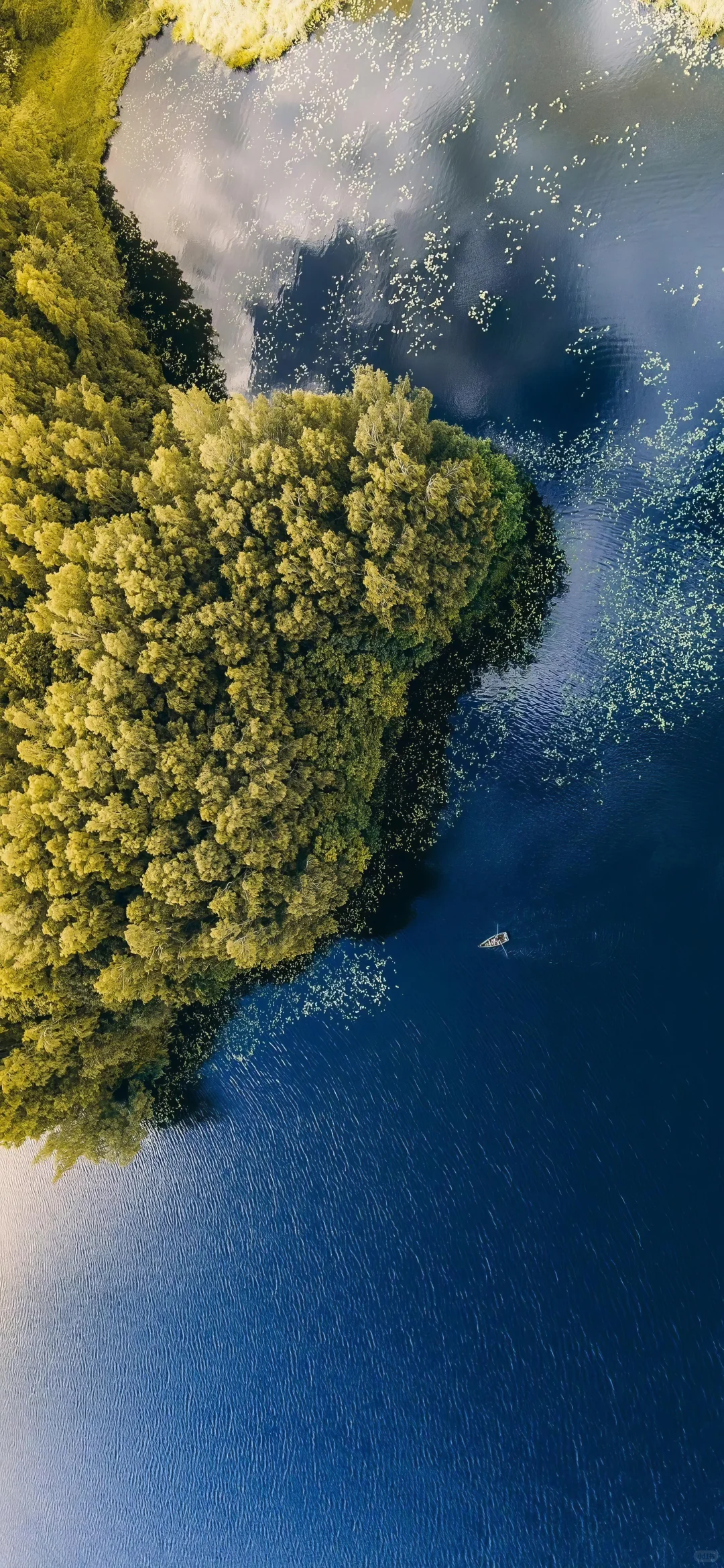 高清手机壁纸分享合集｜027