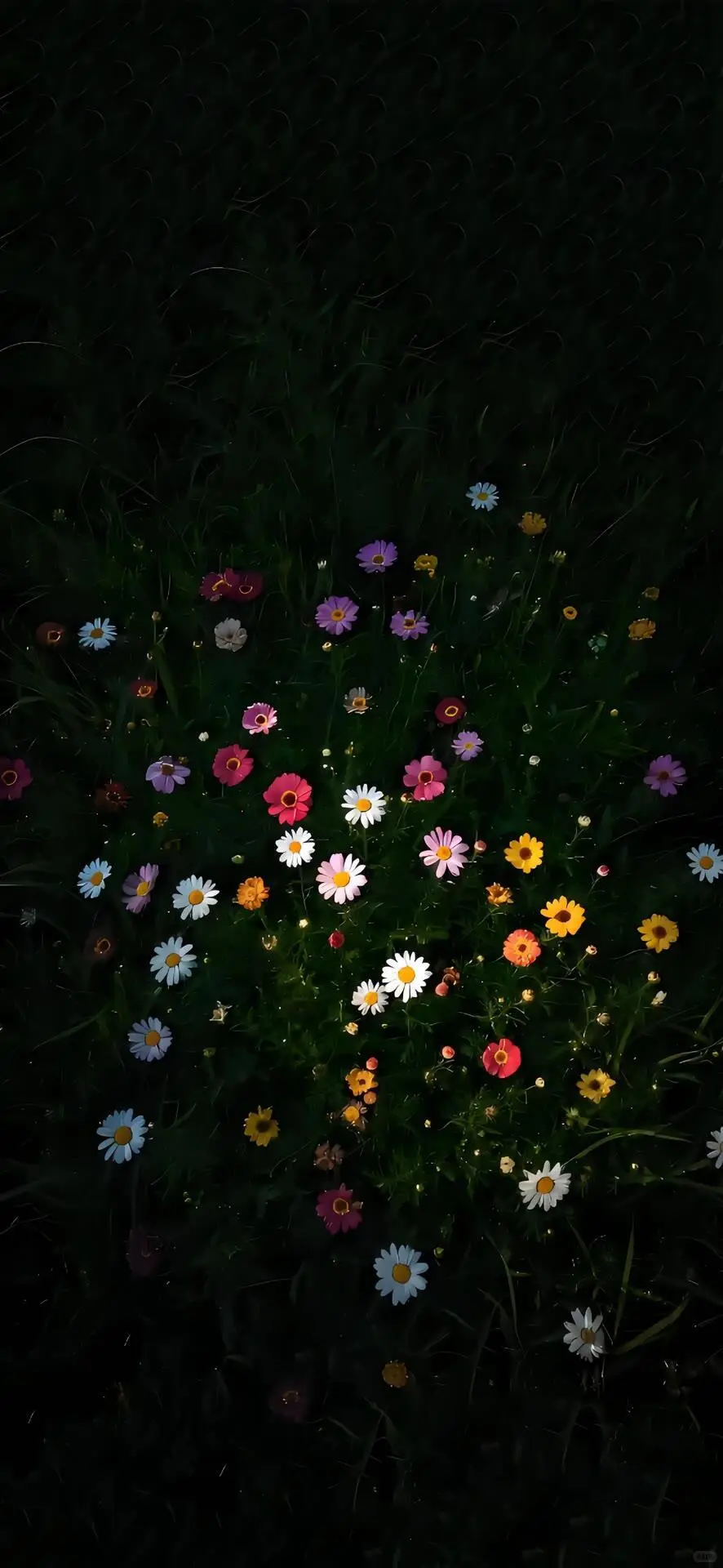 💒 𝐒𝐡𝐚𝐫𝐞｜黑白鲜花壁纸