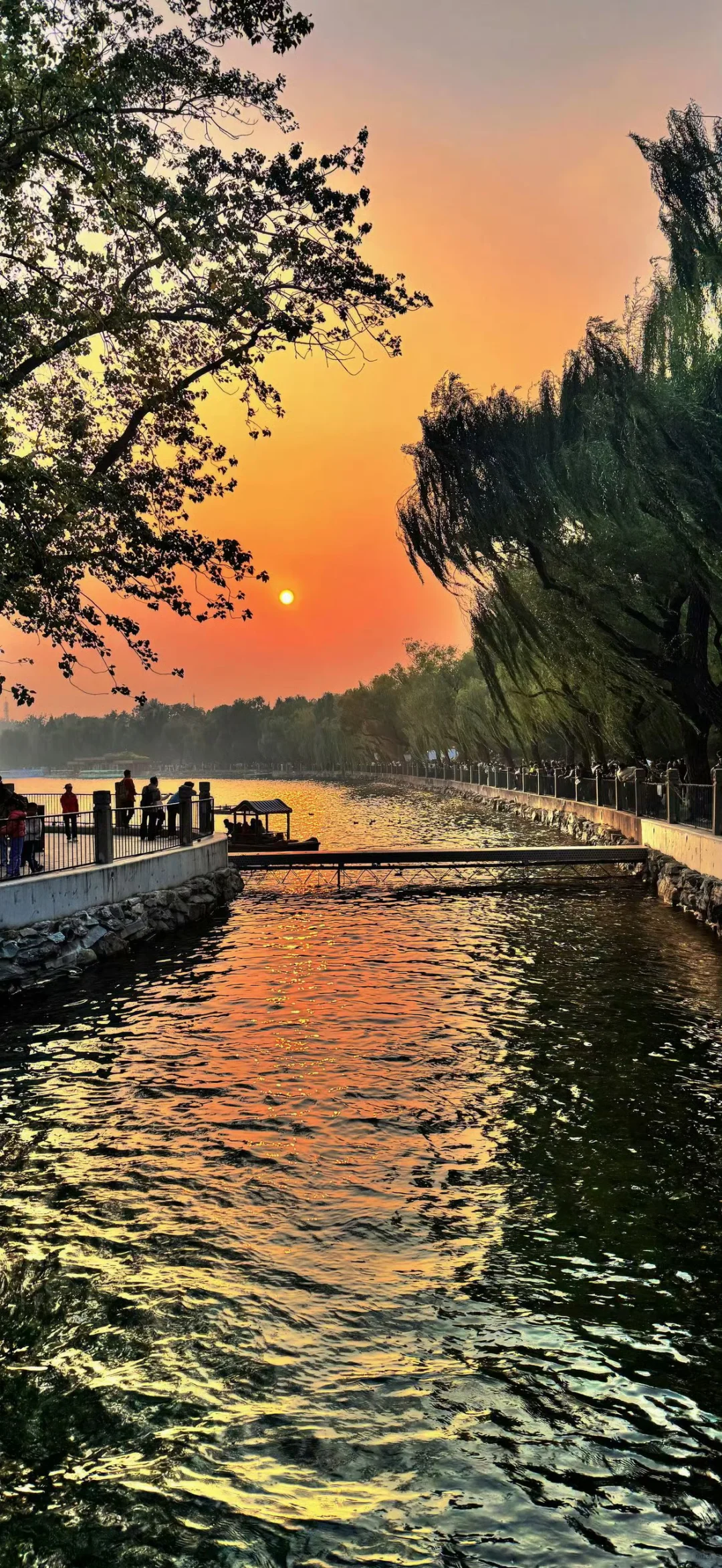 𝙎𝙝𝙖𝙧𝙚壁纸