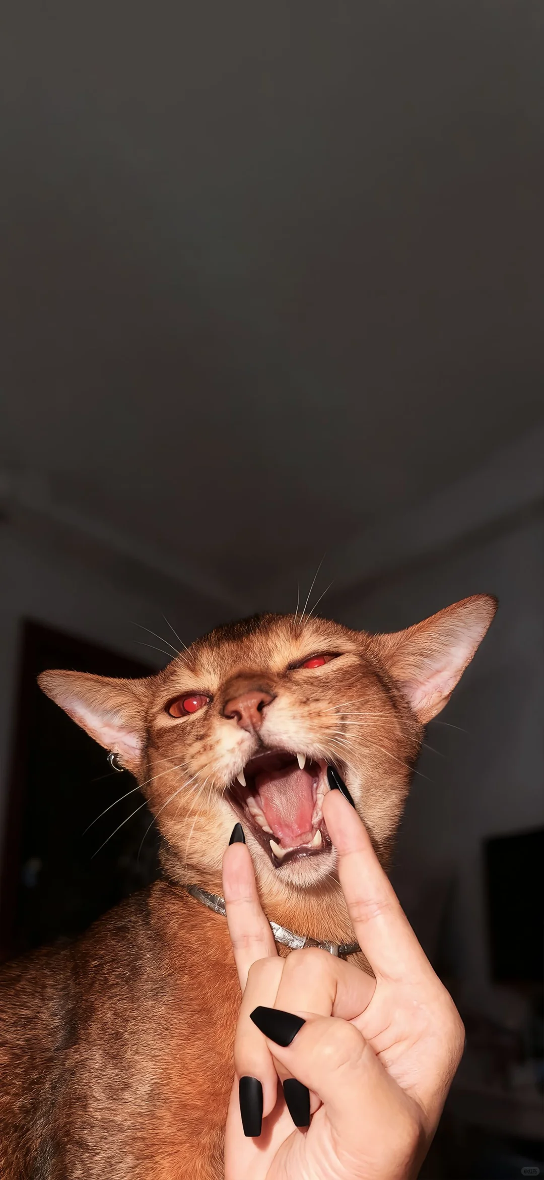 wallpaper｜审美锁屏壁纸