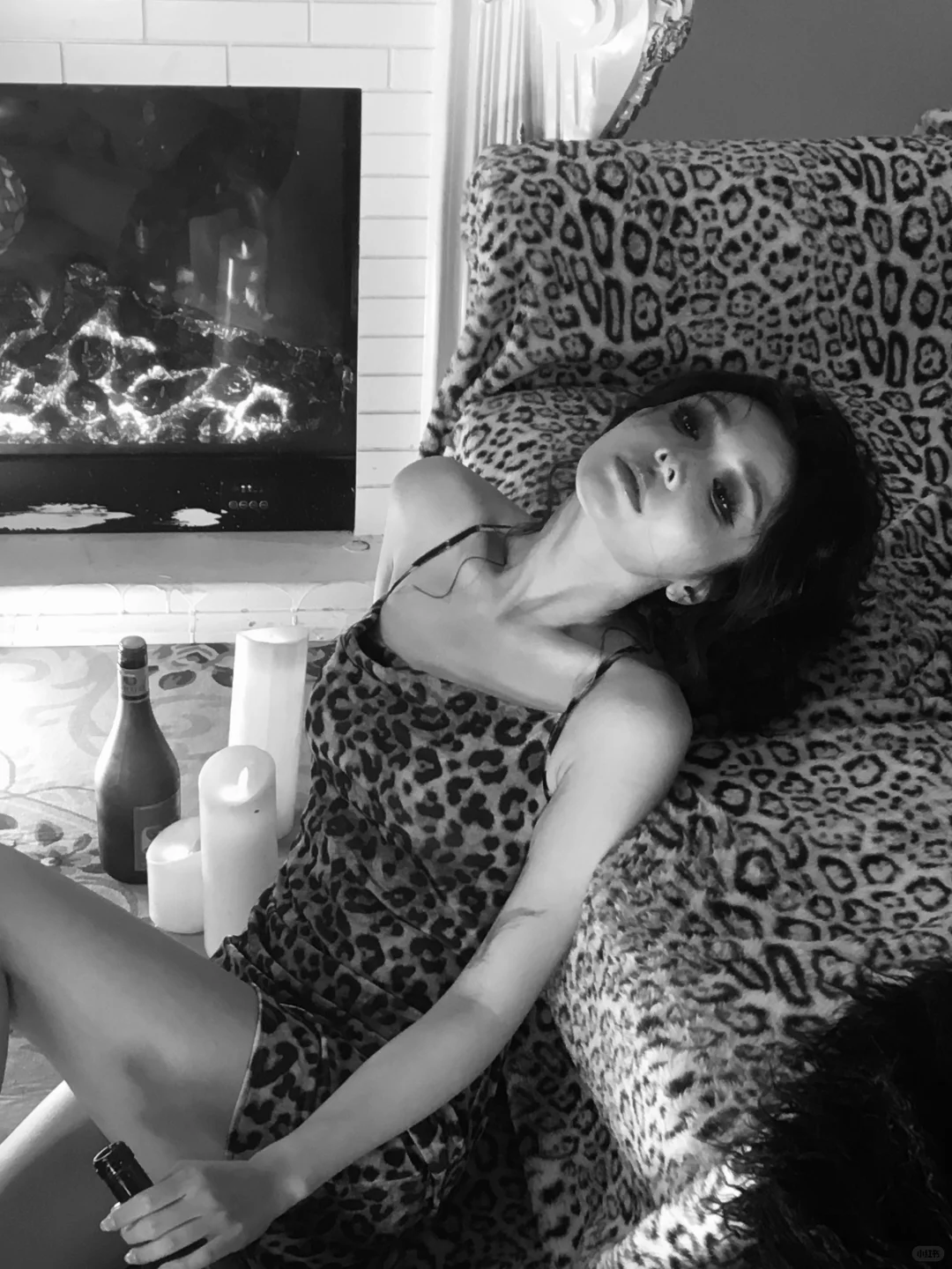 迷人的豹子女士向你问好| 感受夜晚的慵懒