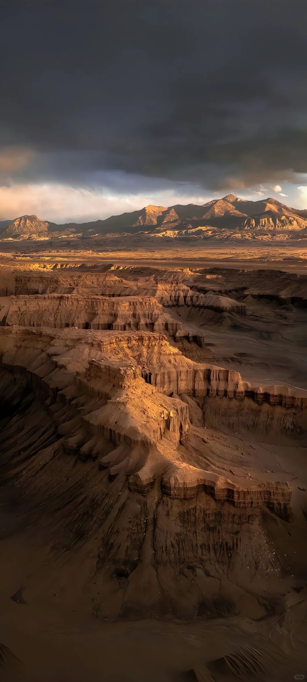 “𝗦𝗛𝗔𝗥𝗘：永久不换的手机壁纸”