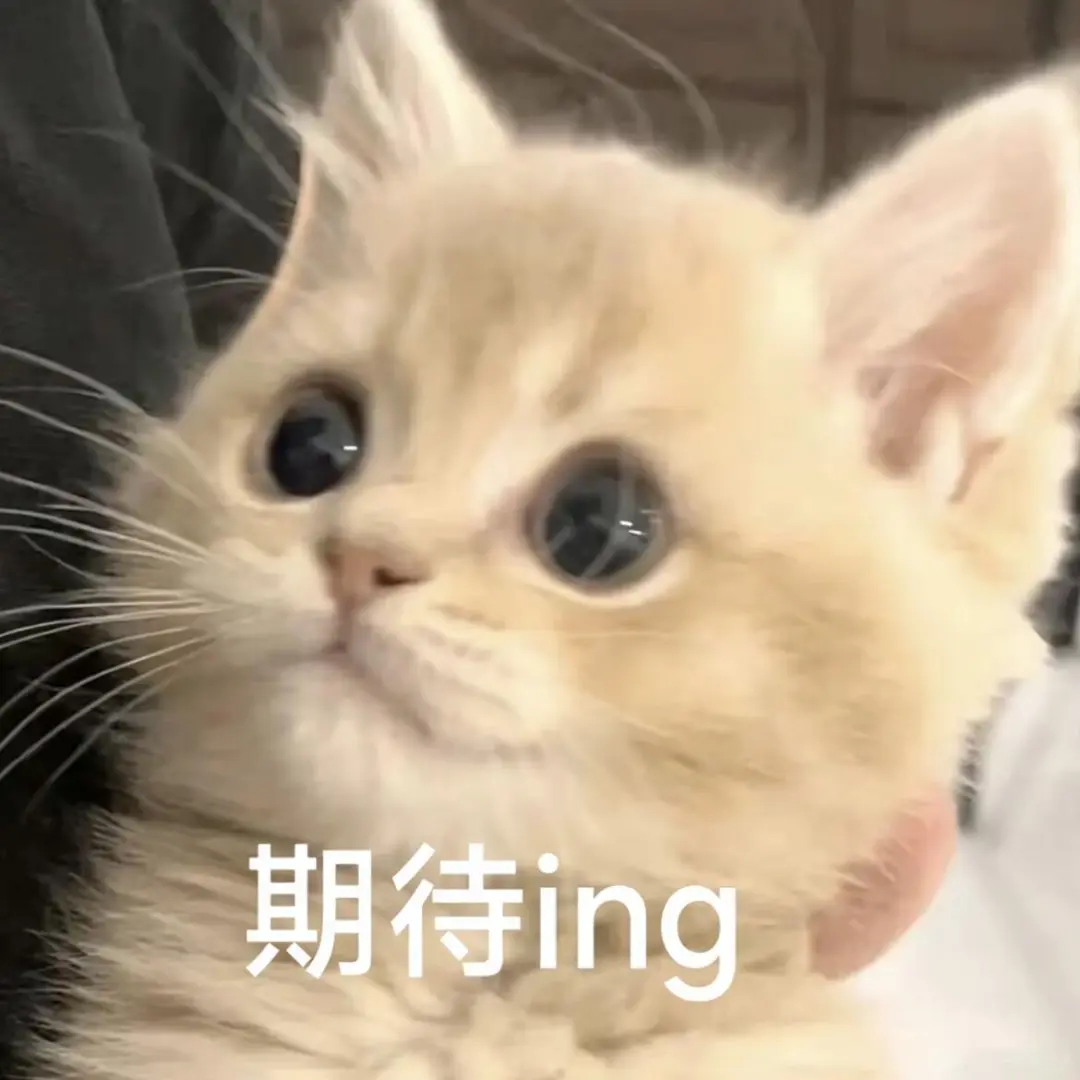 公主表情包收下啦～ 主页取图