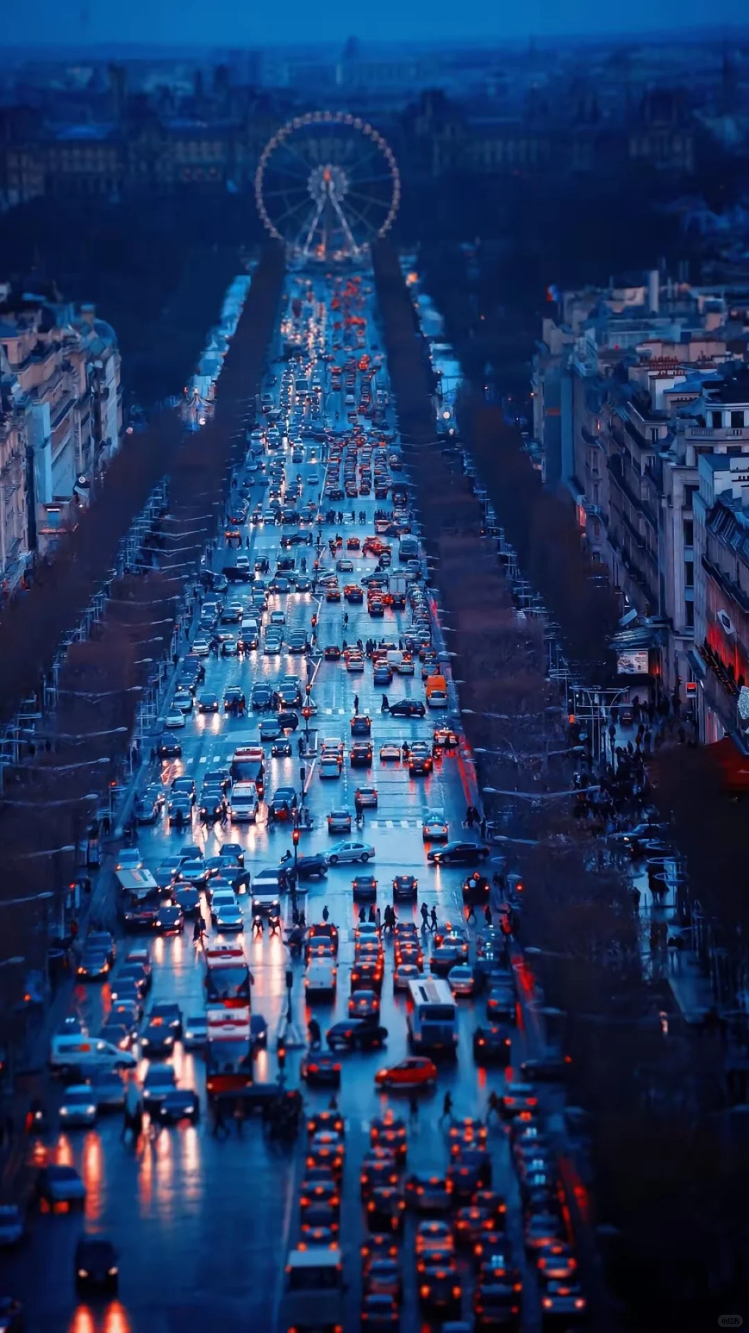 【手机壁纸分享】2025.12.6