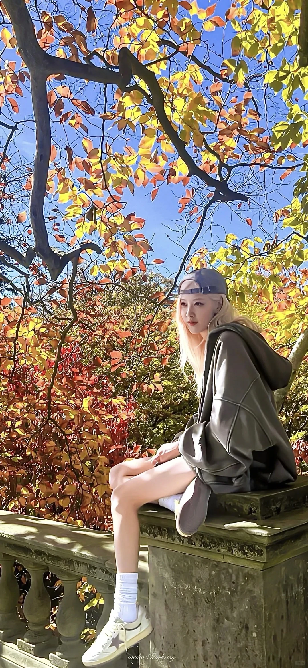 哇哇哇，是Rose壁纸！