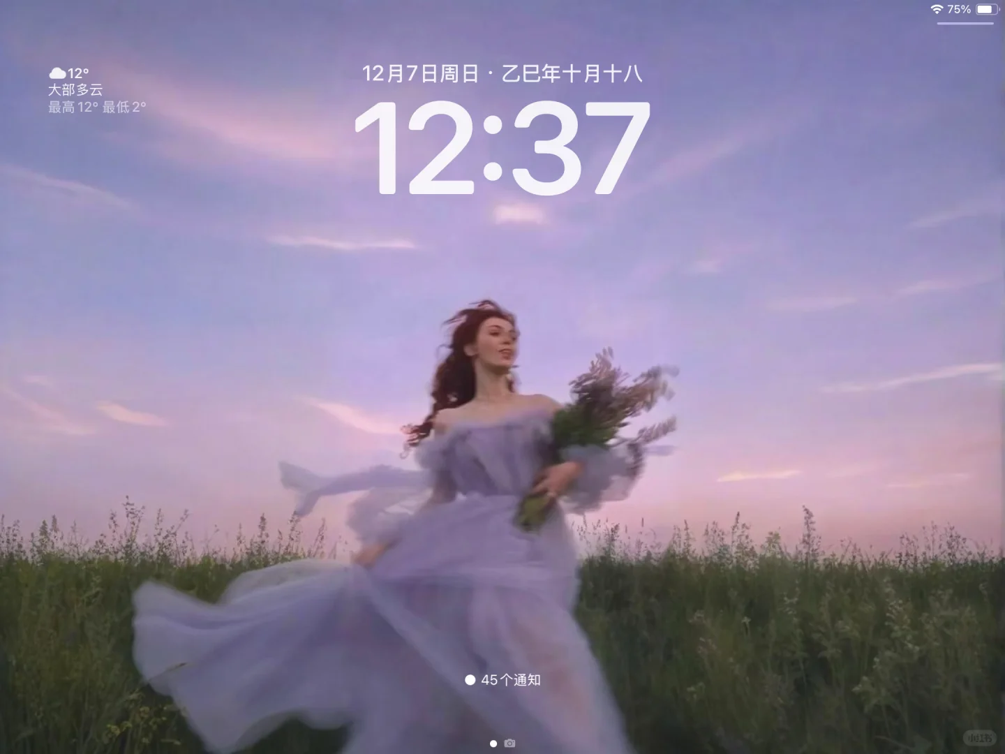 iPad |横屏绝美氛围感壁纸✔️