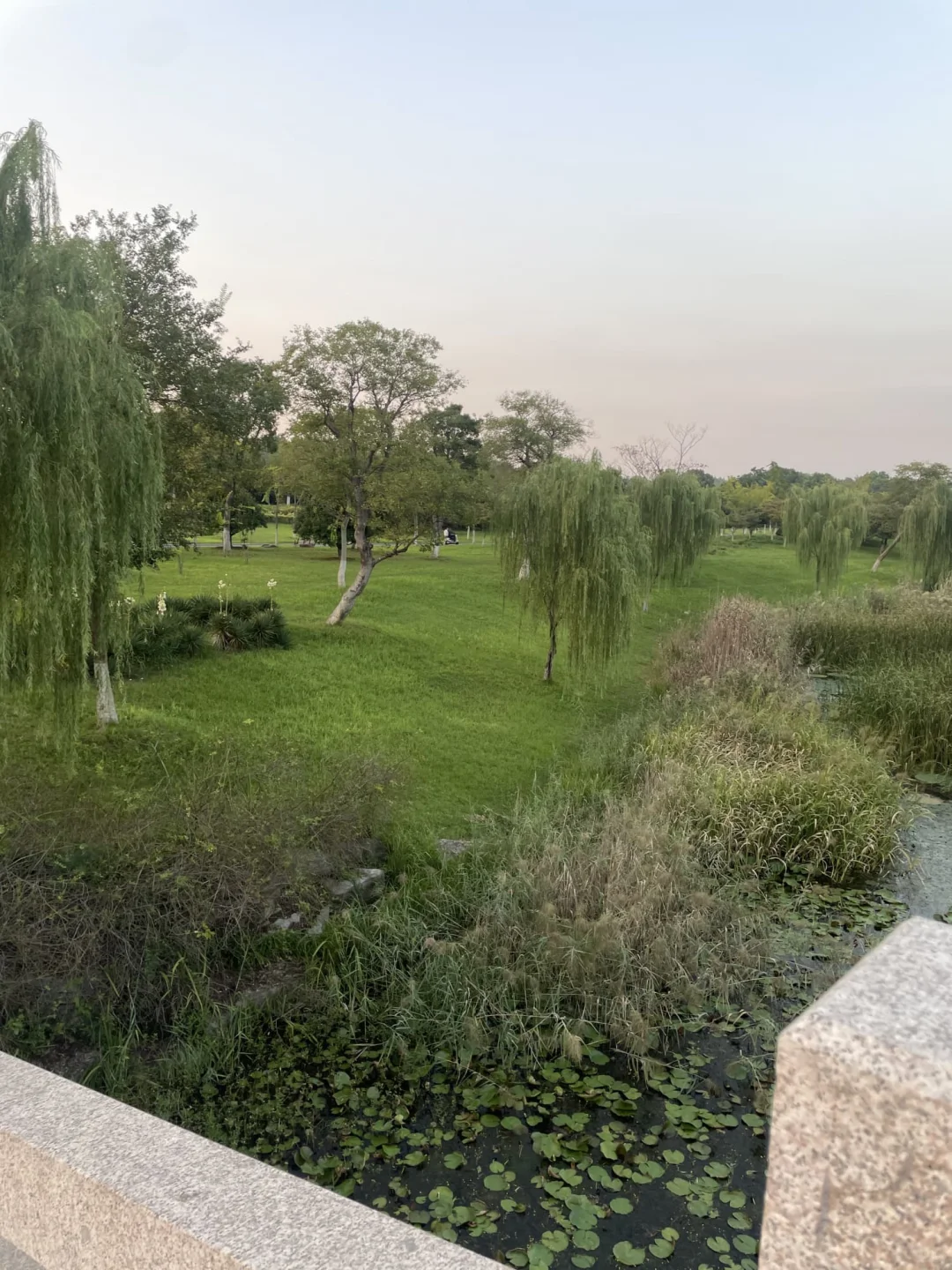 40+的姐姐长这样，还有人喜欢吗