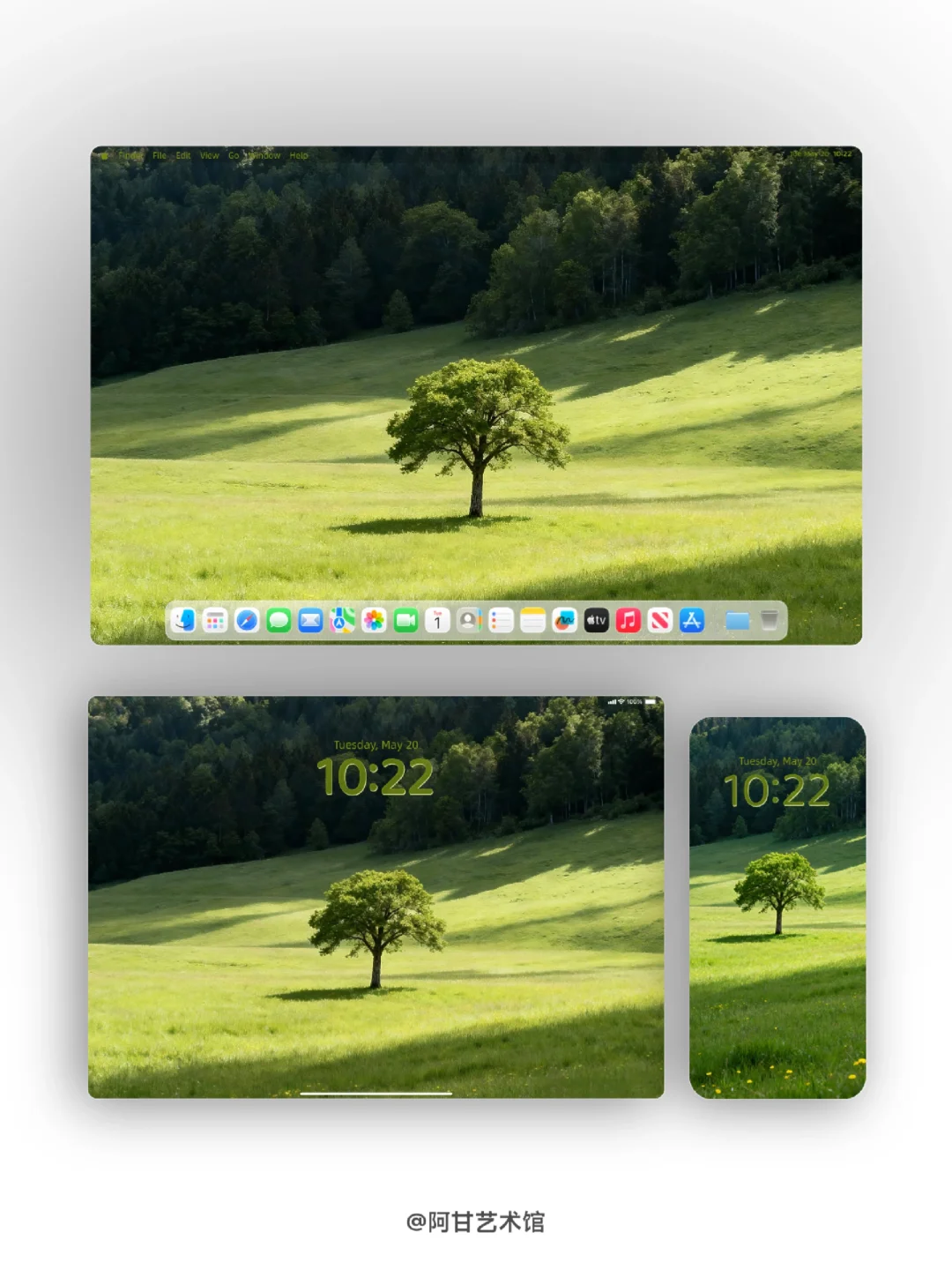 “风是自由的 希望你也是”｜壁纸