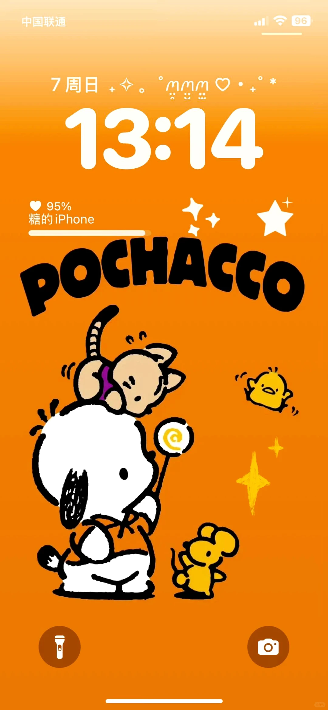 可可爱爱的帕恰狗壁纸