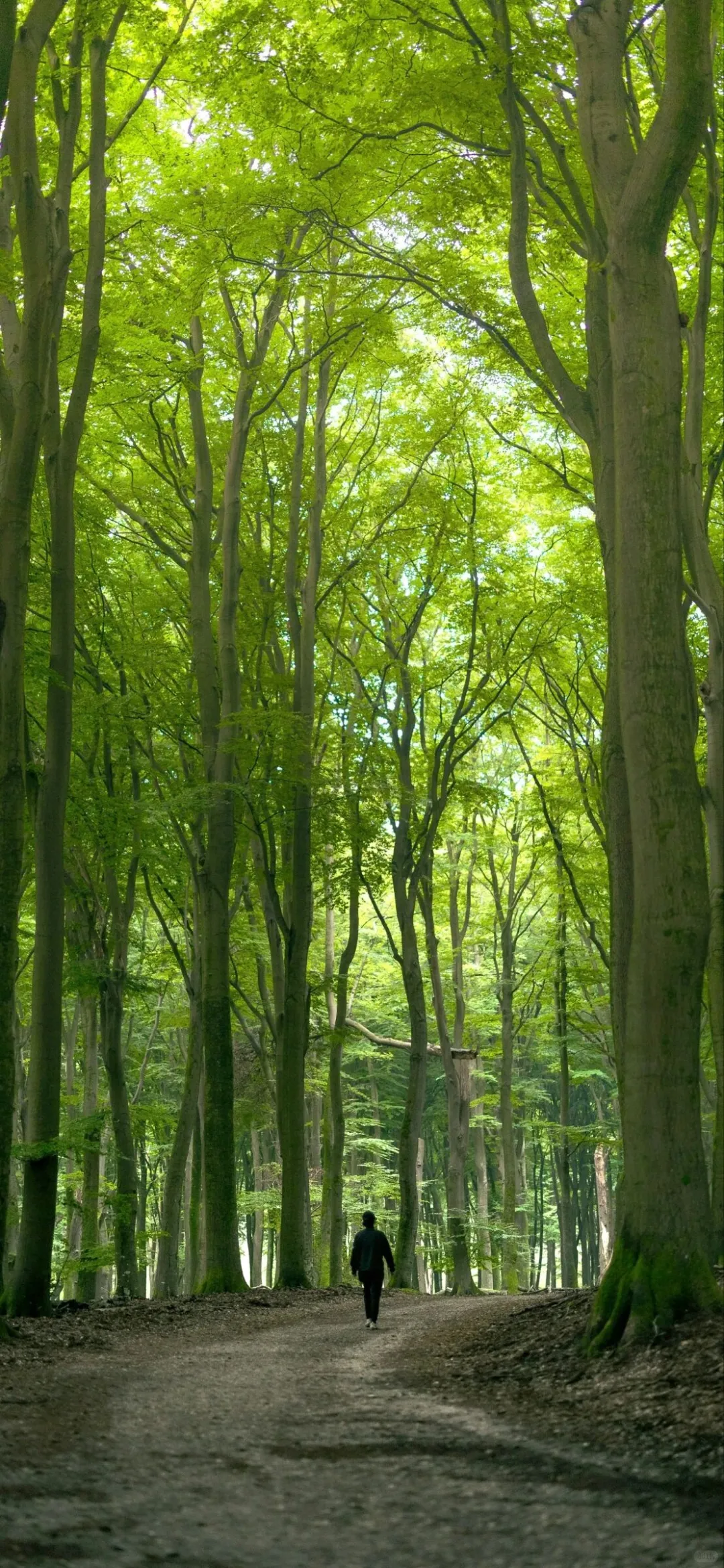 九张高清风景壁纸