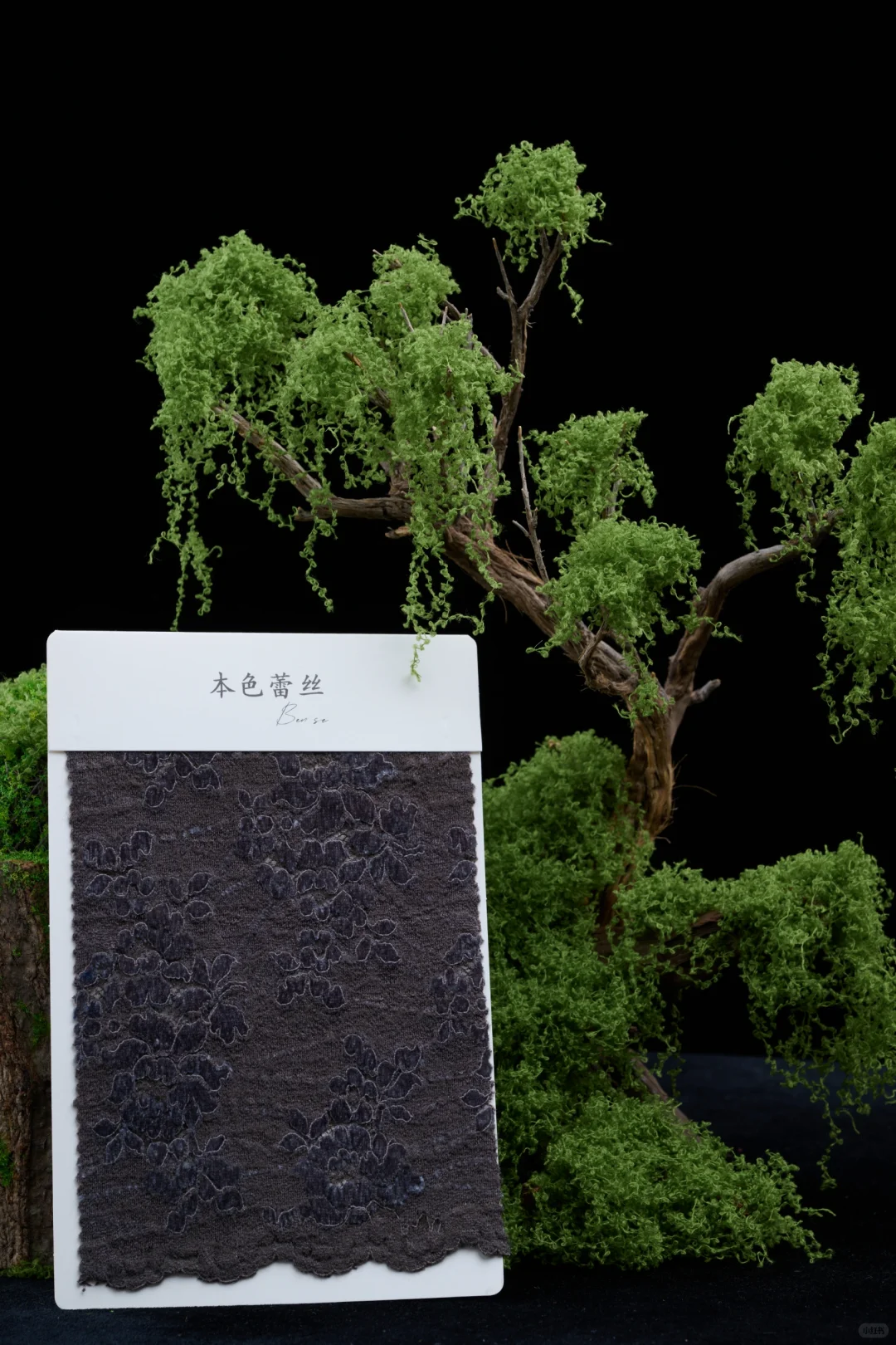 这种质感的花真的爱了|秋冬蕾丝的魅力✨