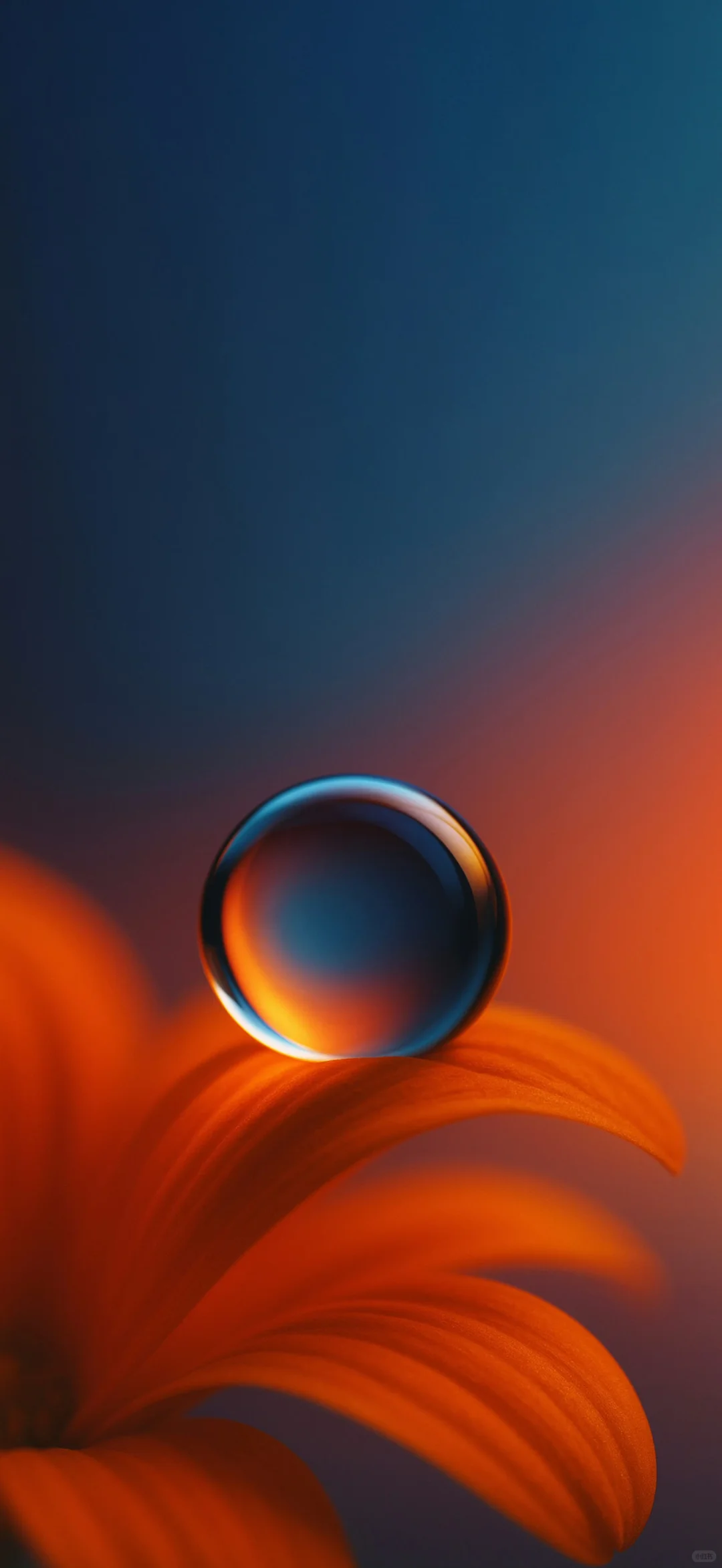 超好看的暗色系手机全屏壁纸✌︎