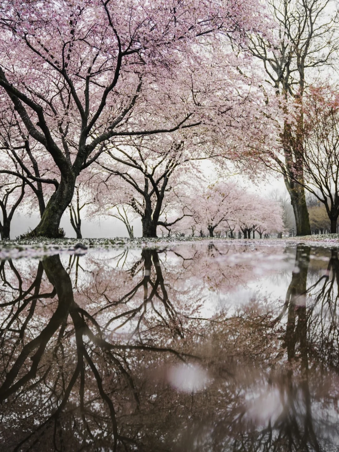 高清日本旅游壁纸