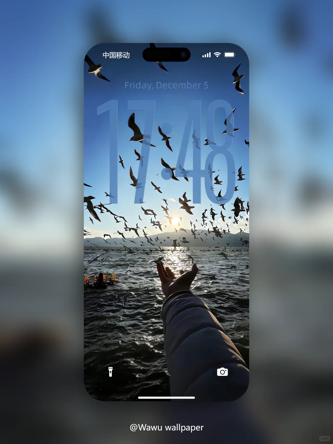 自由释放 | 小众高级壁纸 | 6434