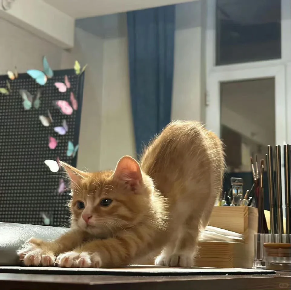 小众WeChat朋友圈背景图