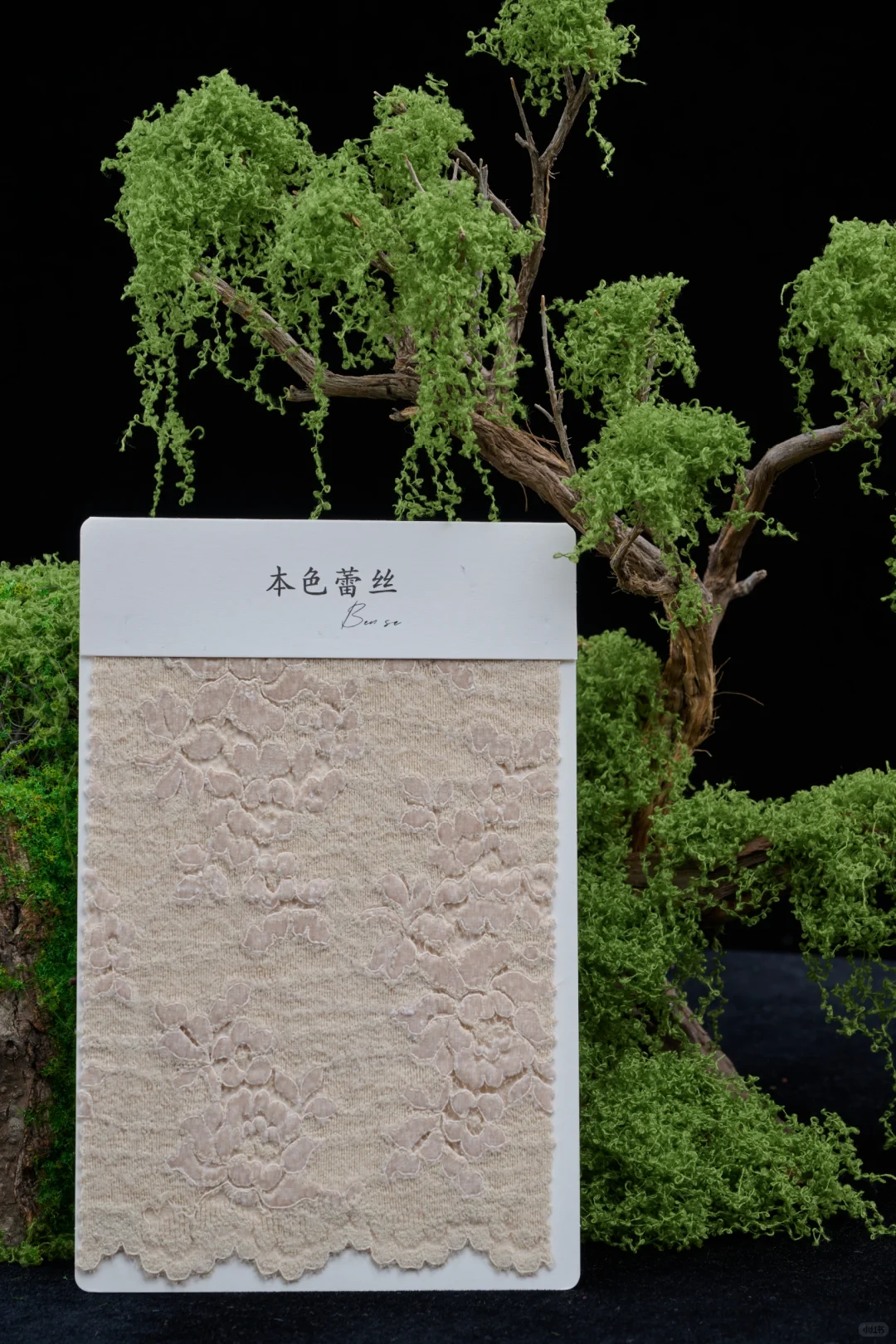 这种质感的花真的爱了|秋冬蕾丝的魅力✨