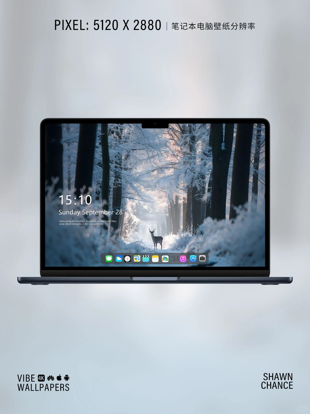 🦌雪林中的鹿，氛围感直接拉满～