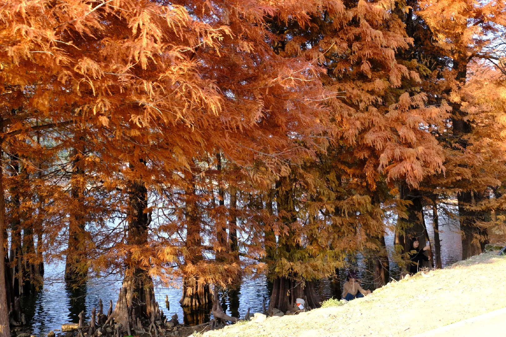 12.7下午3点左右麻岙水库偶遇美少女