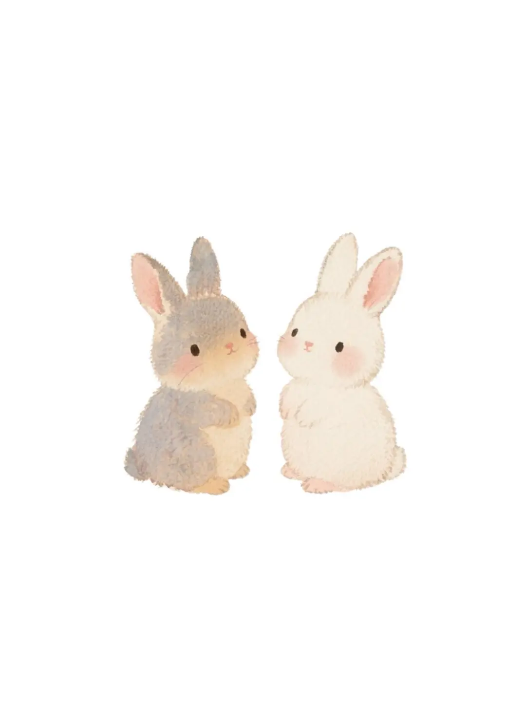 🐰🐰｜软萌可爱的兔兔壁纸❣️