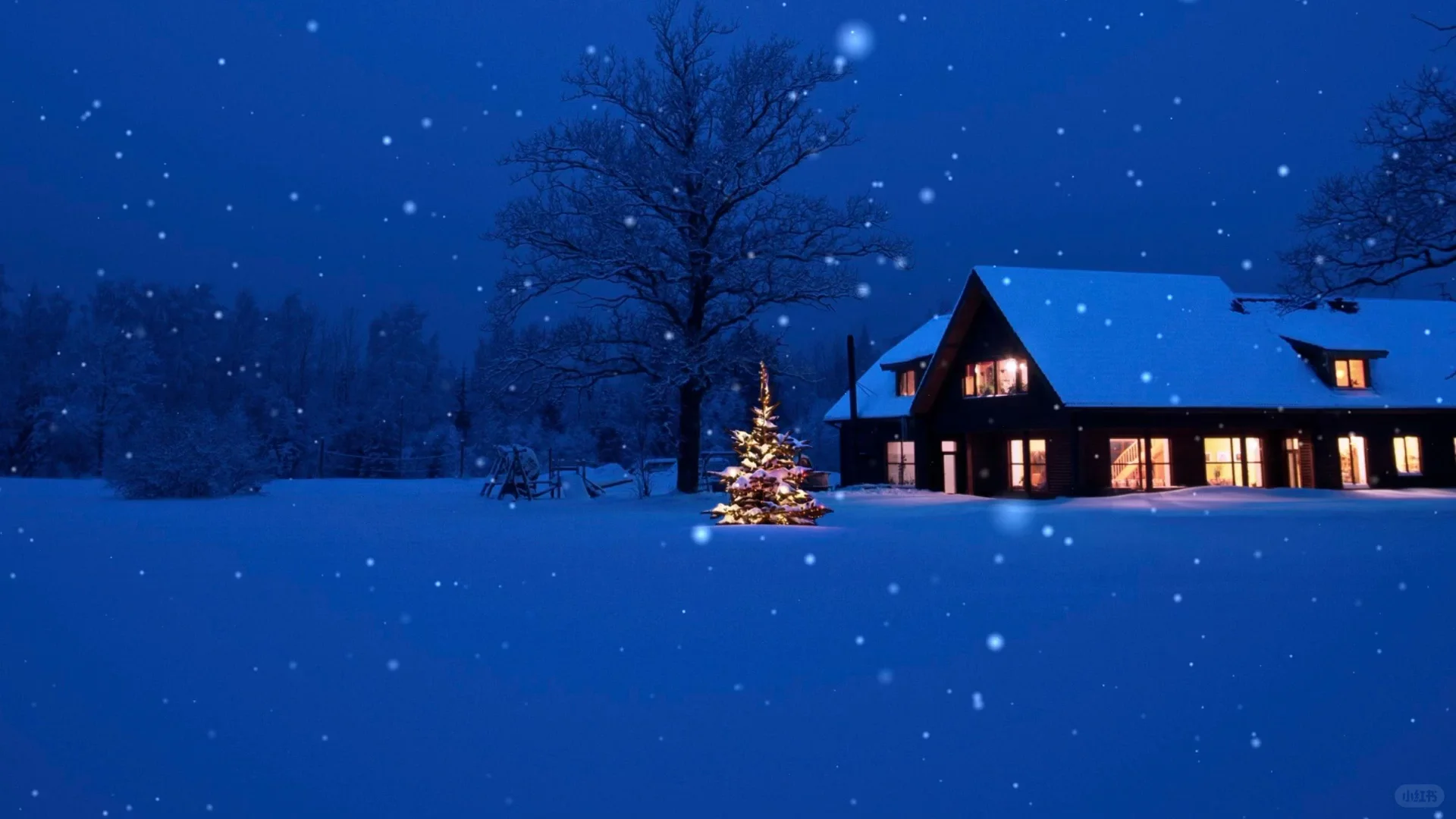 动态壁纸分享第214期