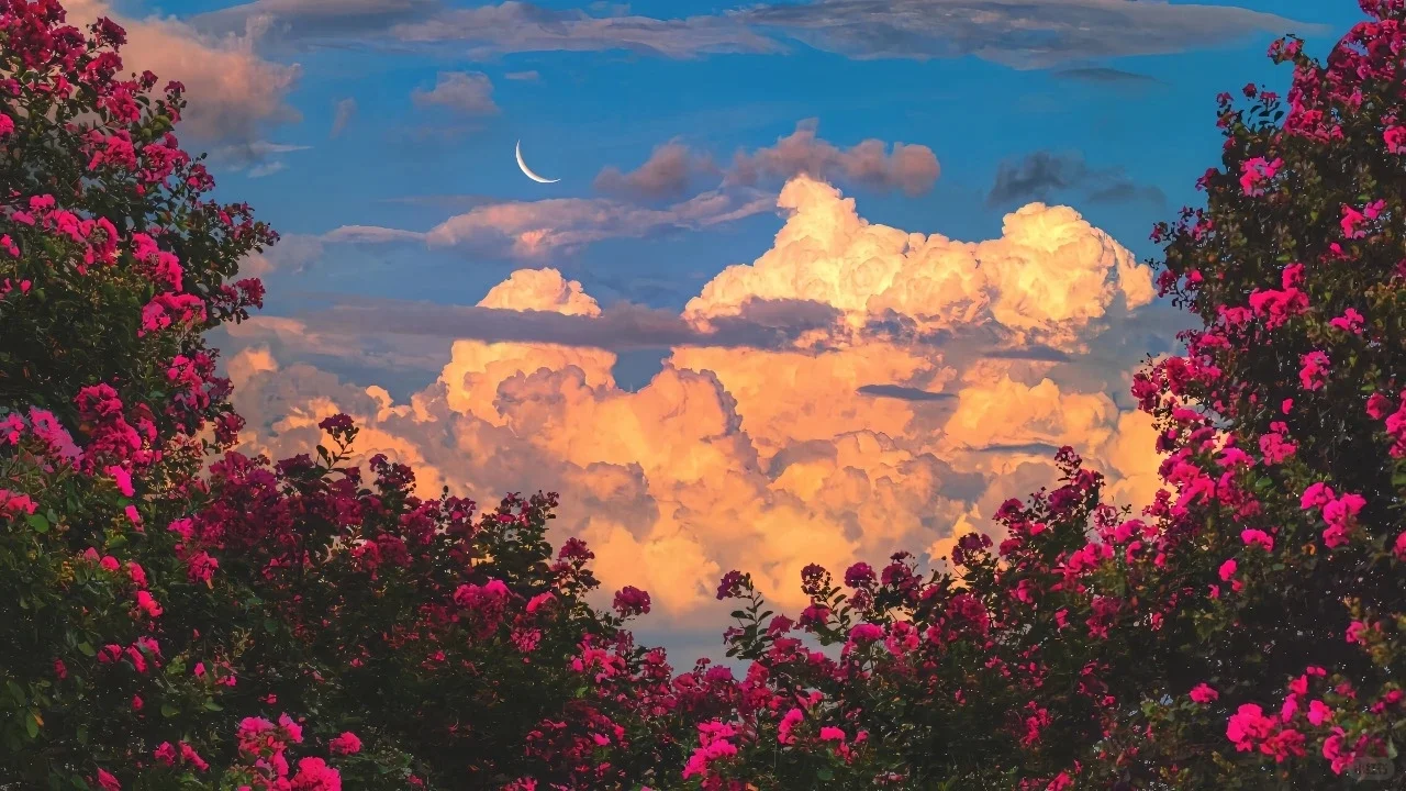 Share｜一组好看的电脑pad壁纸