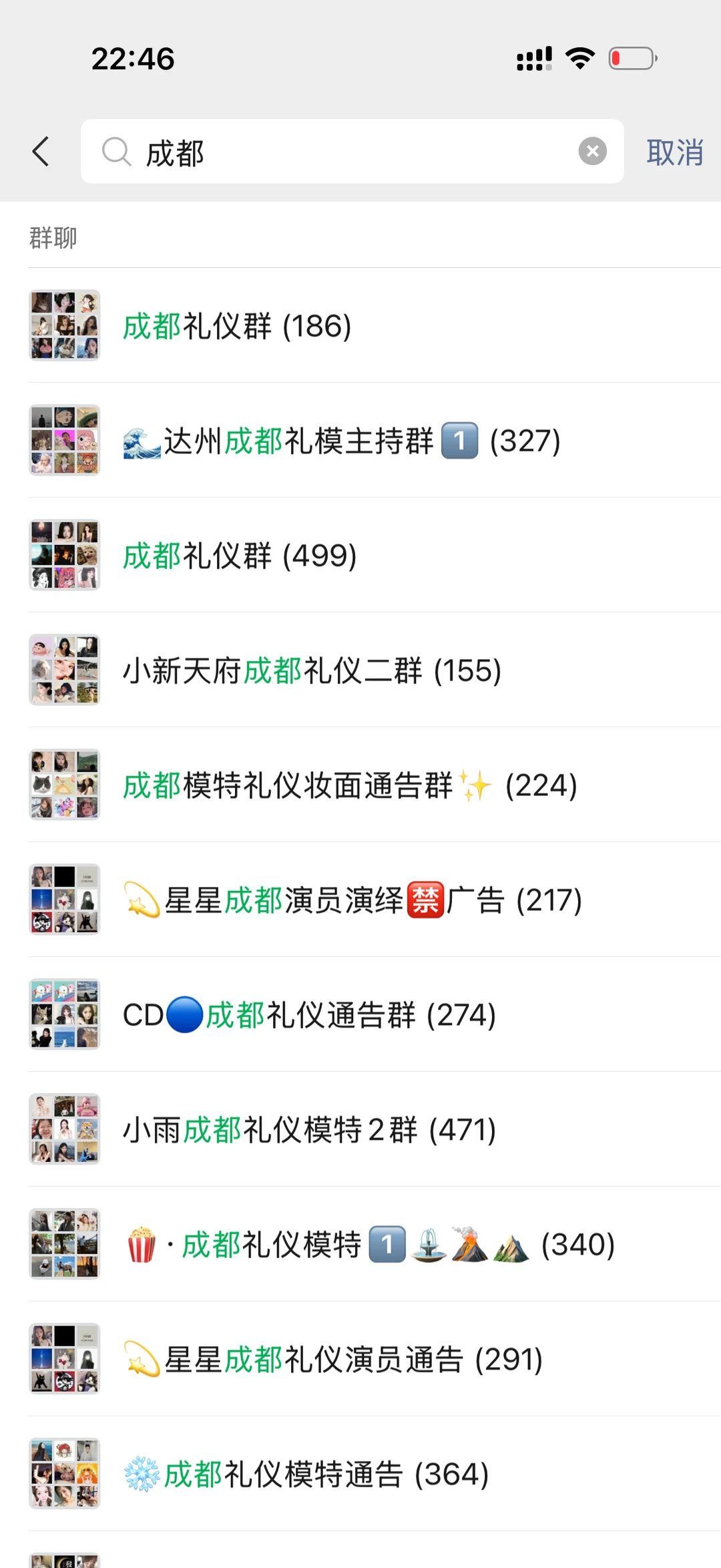 成都礼仪模特群