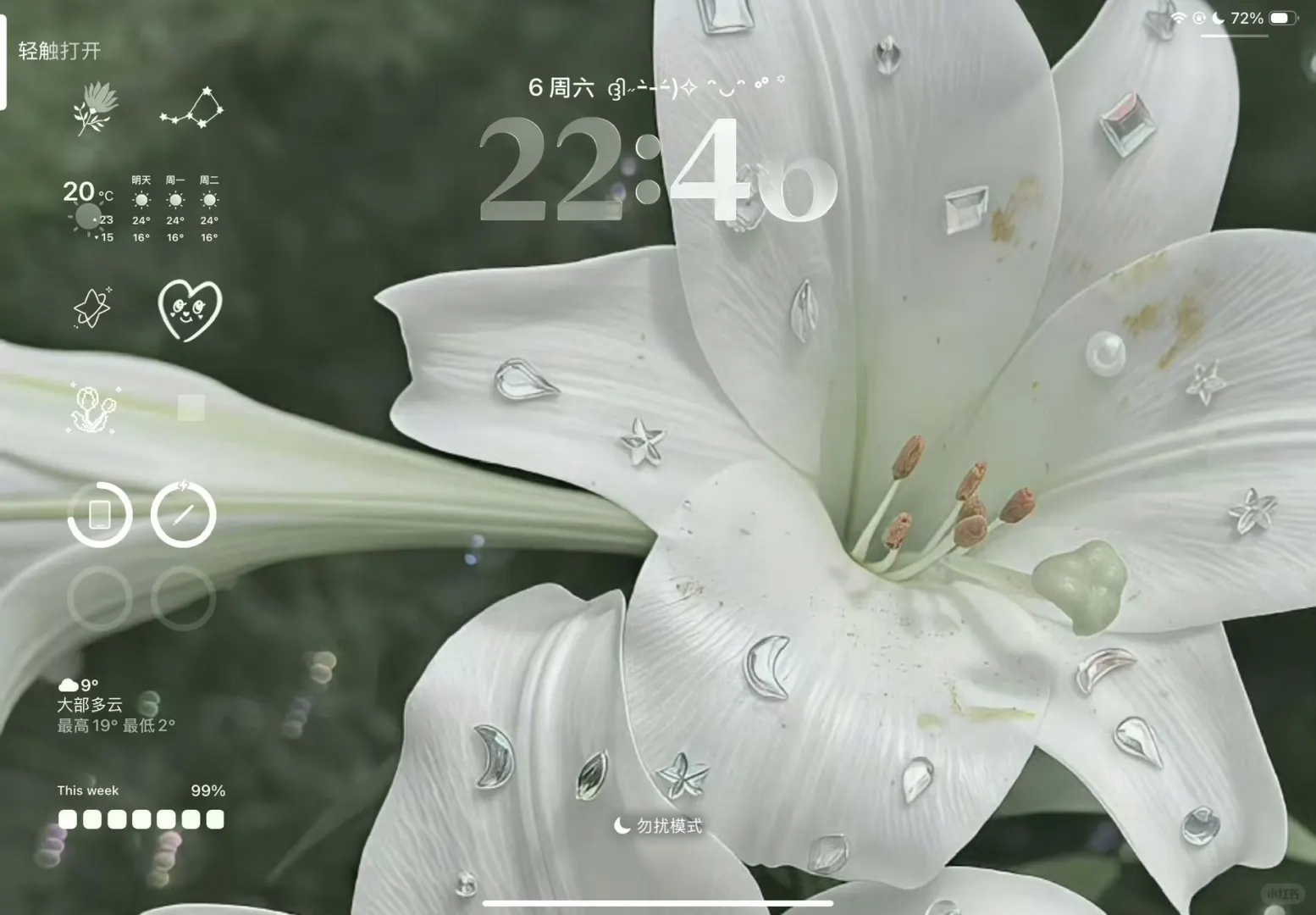 鲜花iPad壁纸💐