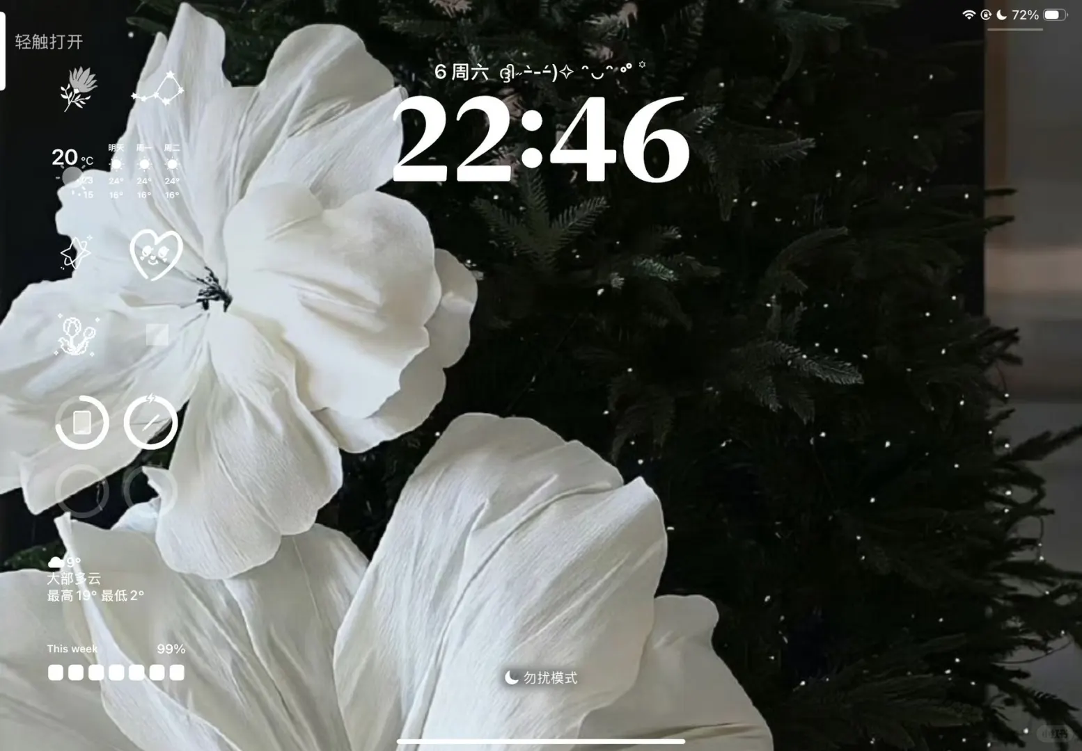 鲜花iPad壁纸💐