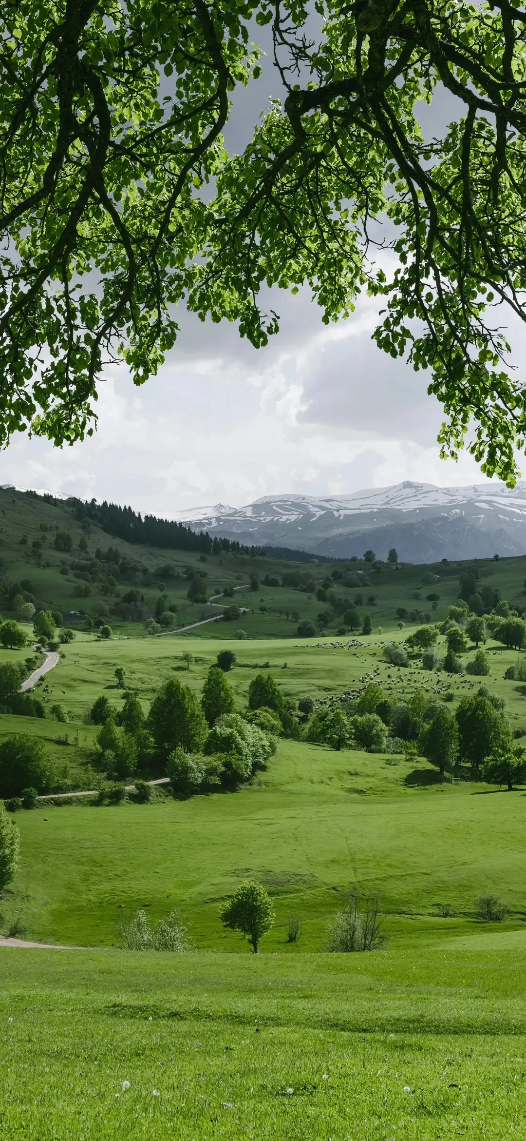 高清手机壁纸分享合集｜027