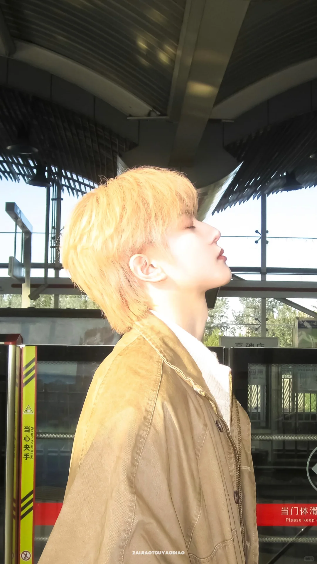 Share壁纸｜阳光下☀️