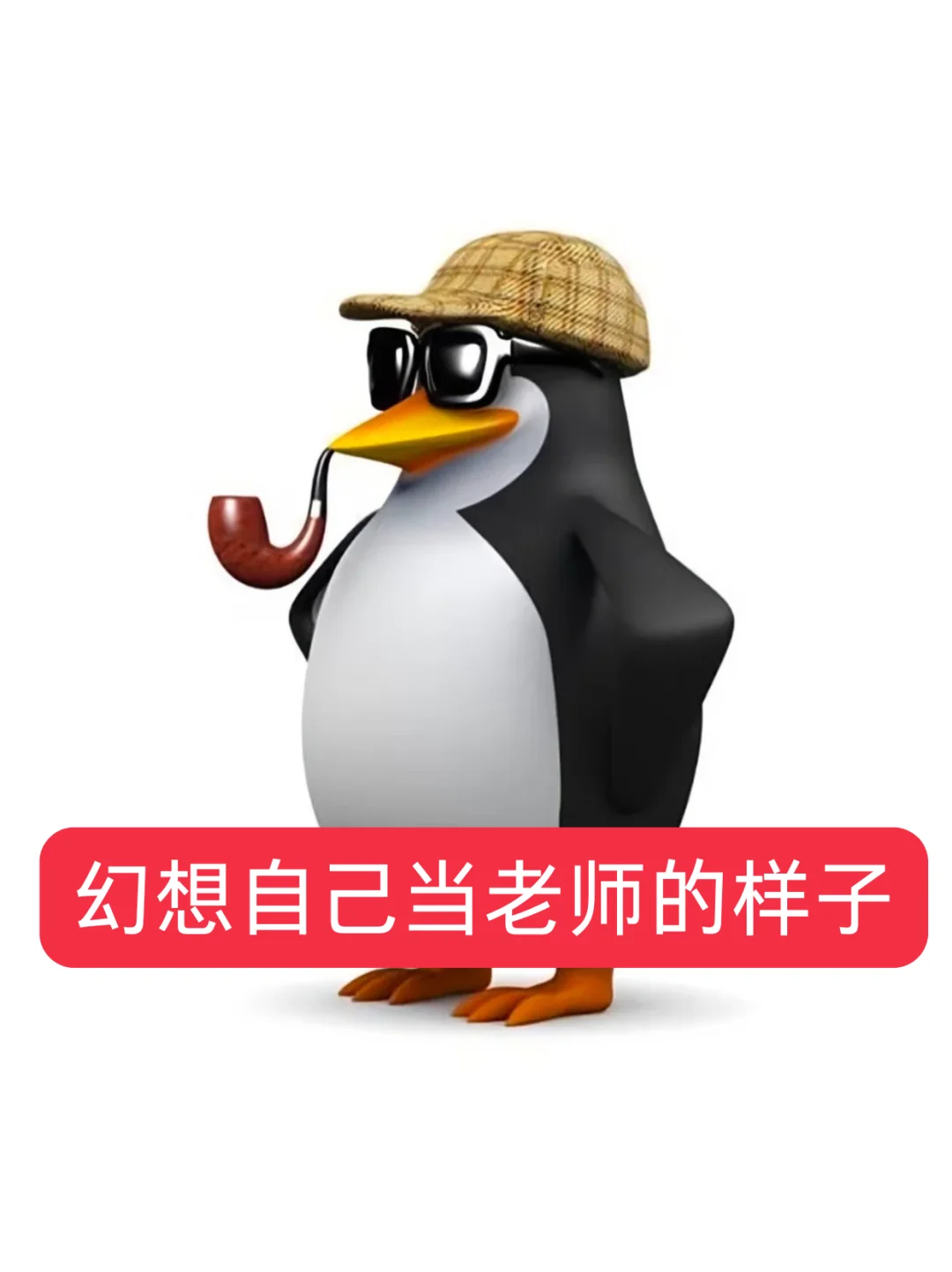 教资面试专用表情包