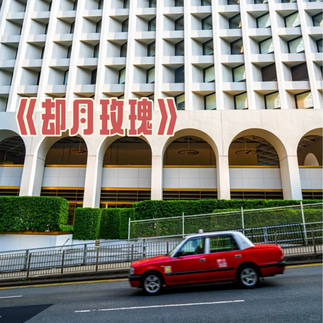 熟男熟女➕先孕后爱，超香超绝的高干文！！