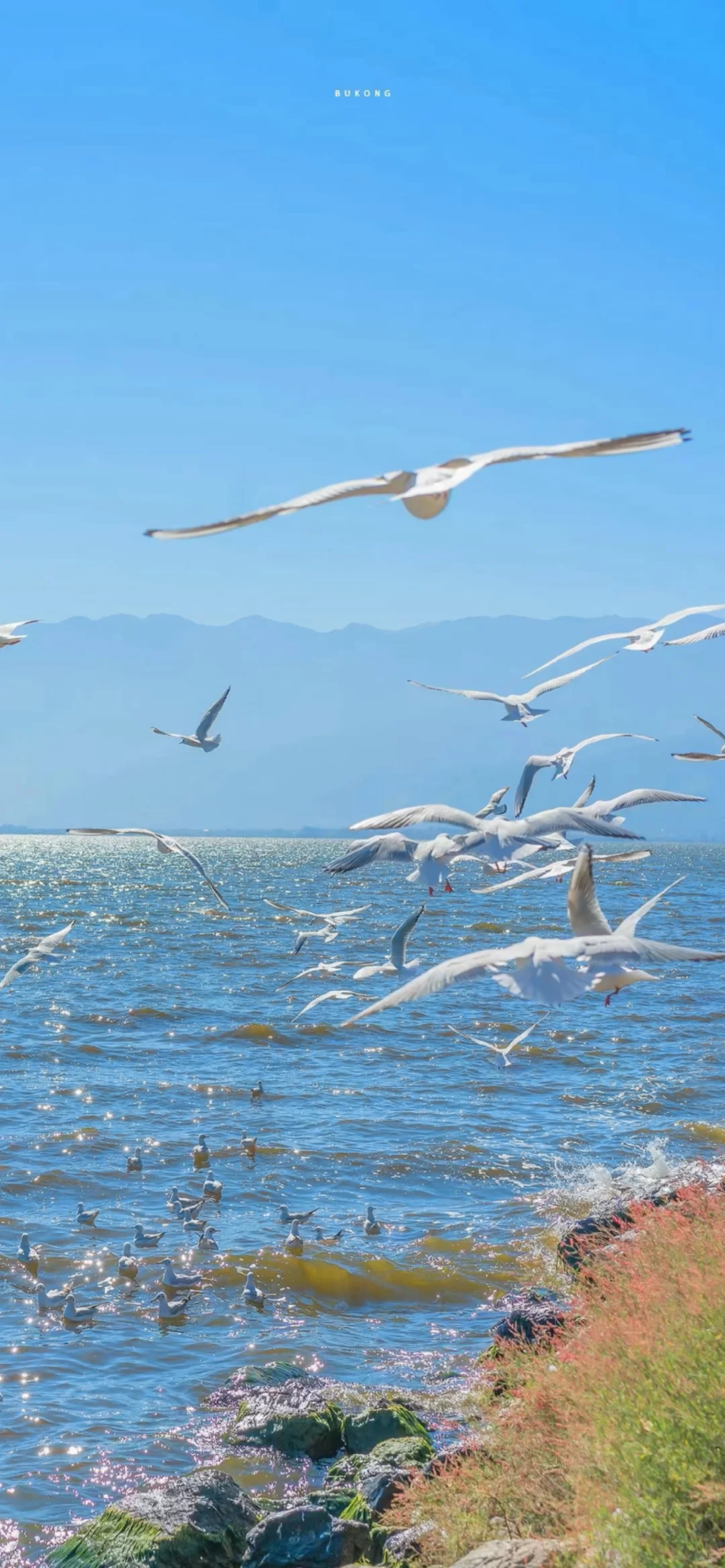 壁纸｜小众高级氛围感壁纸推荐