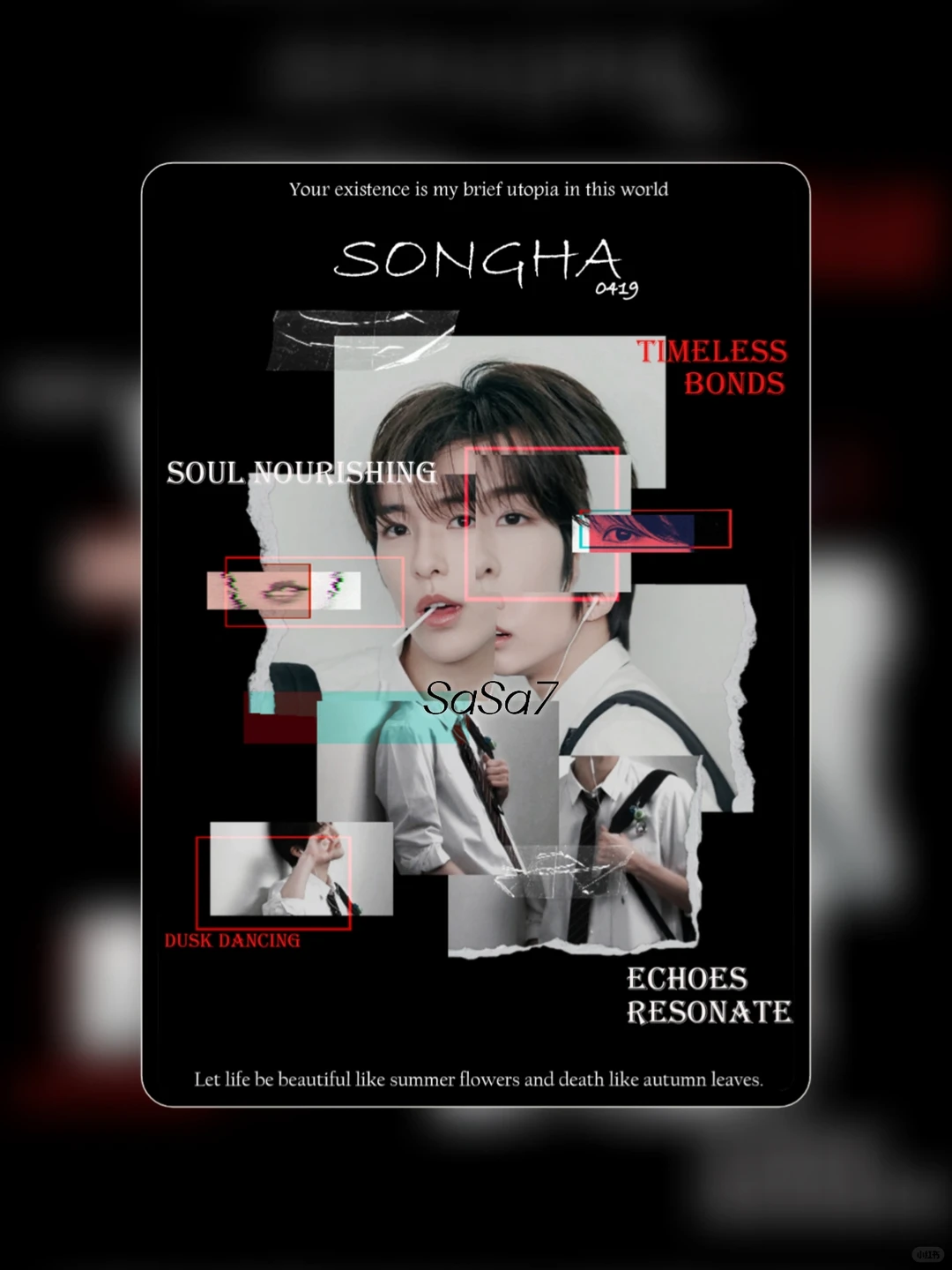 平板壁纸｜SONGHA