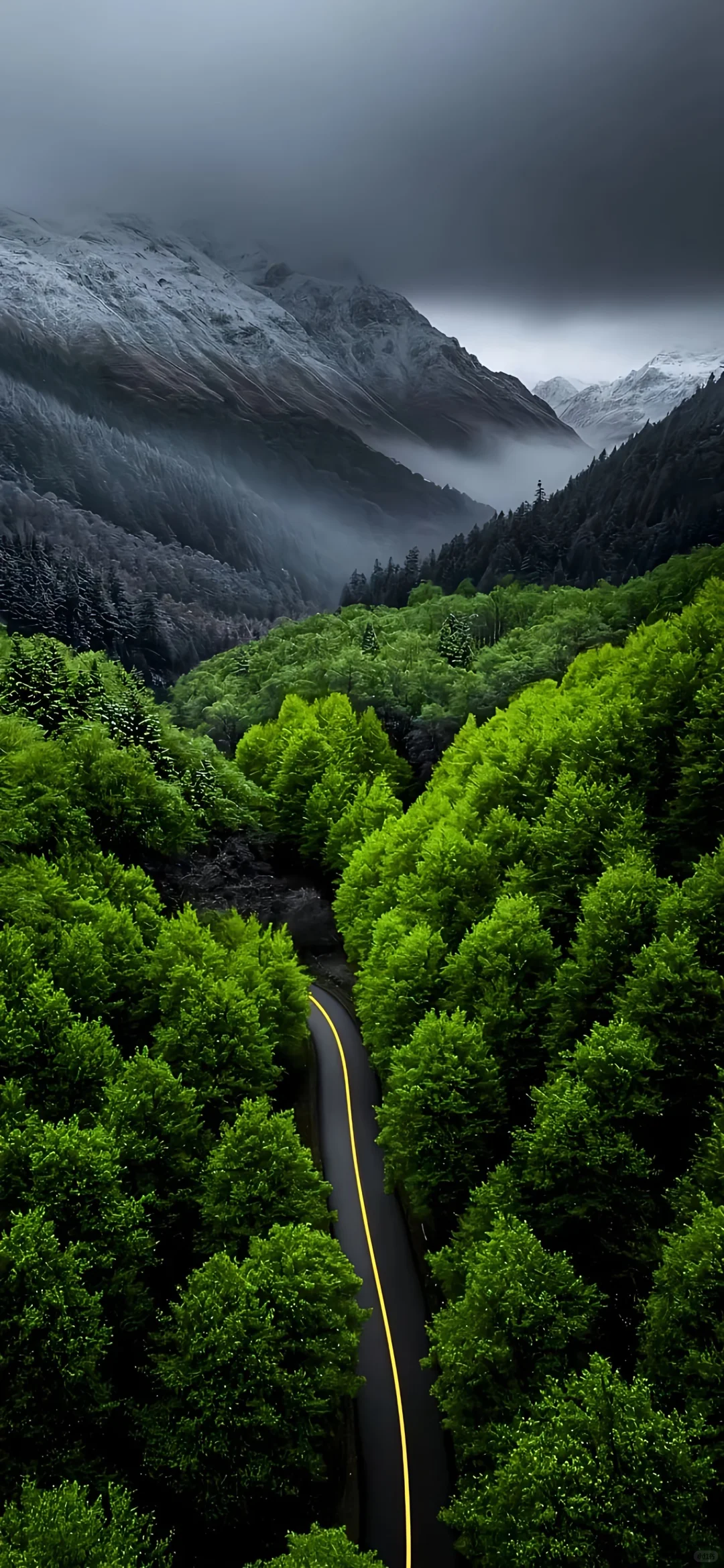 壁纸分享、今日壁纸更新～