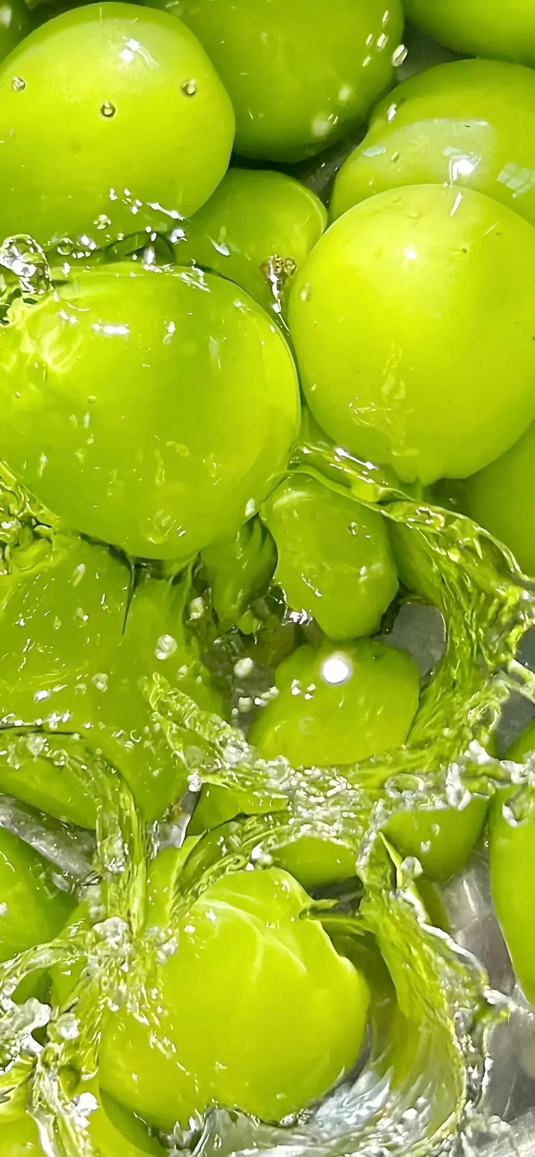 绿色系壁纸|真的好喜欢绿色