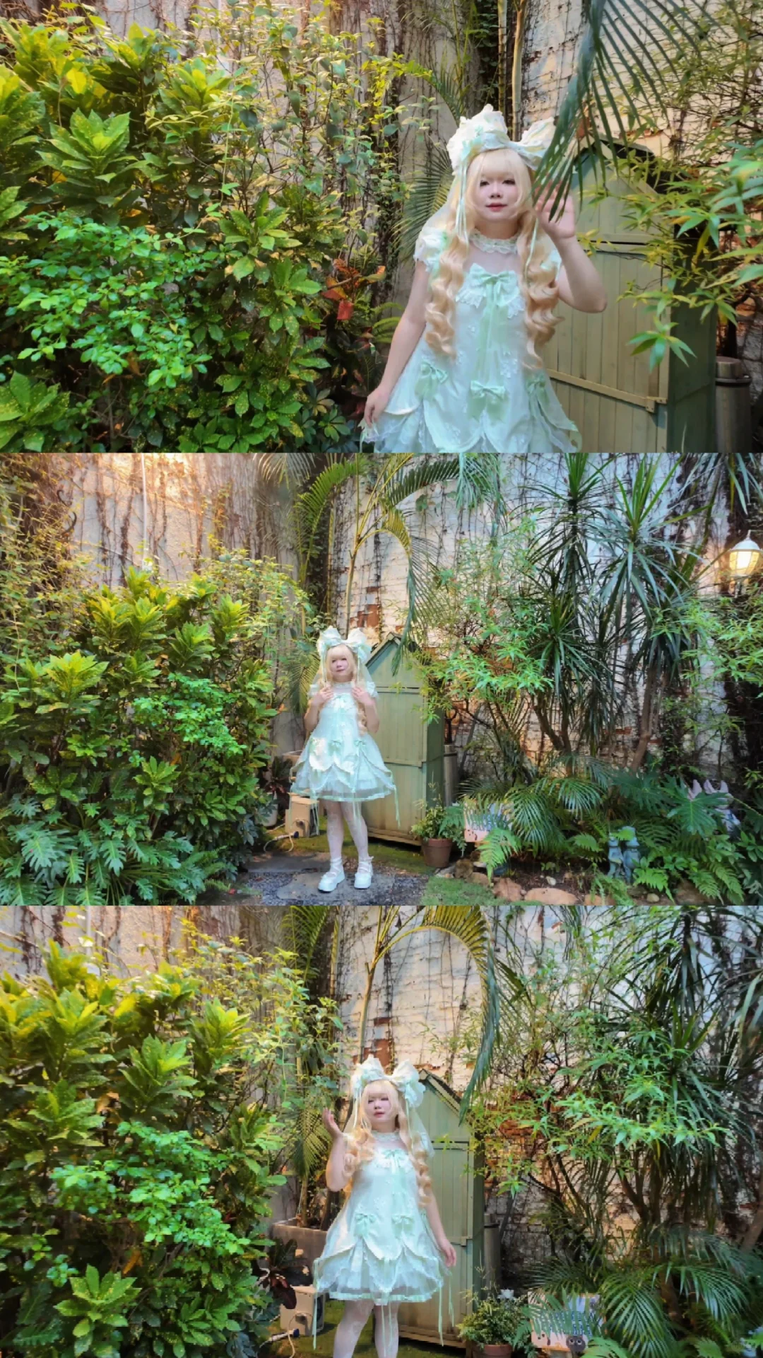 仙仙的法式森林森萝萝森萝萝森萝萝～