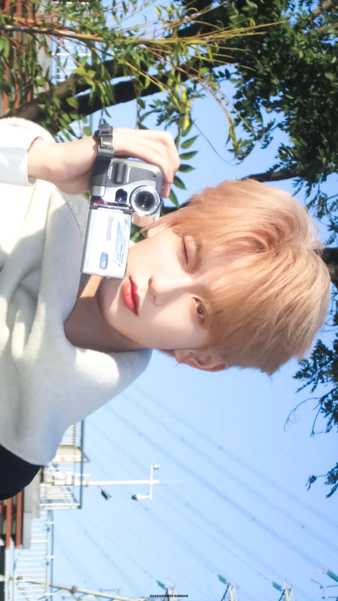 Share壁纸｜阳光下☀️