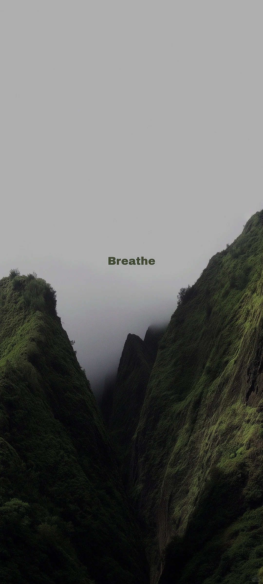 壁纸分享、今日壁纸更新～