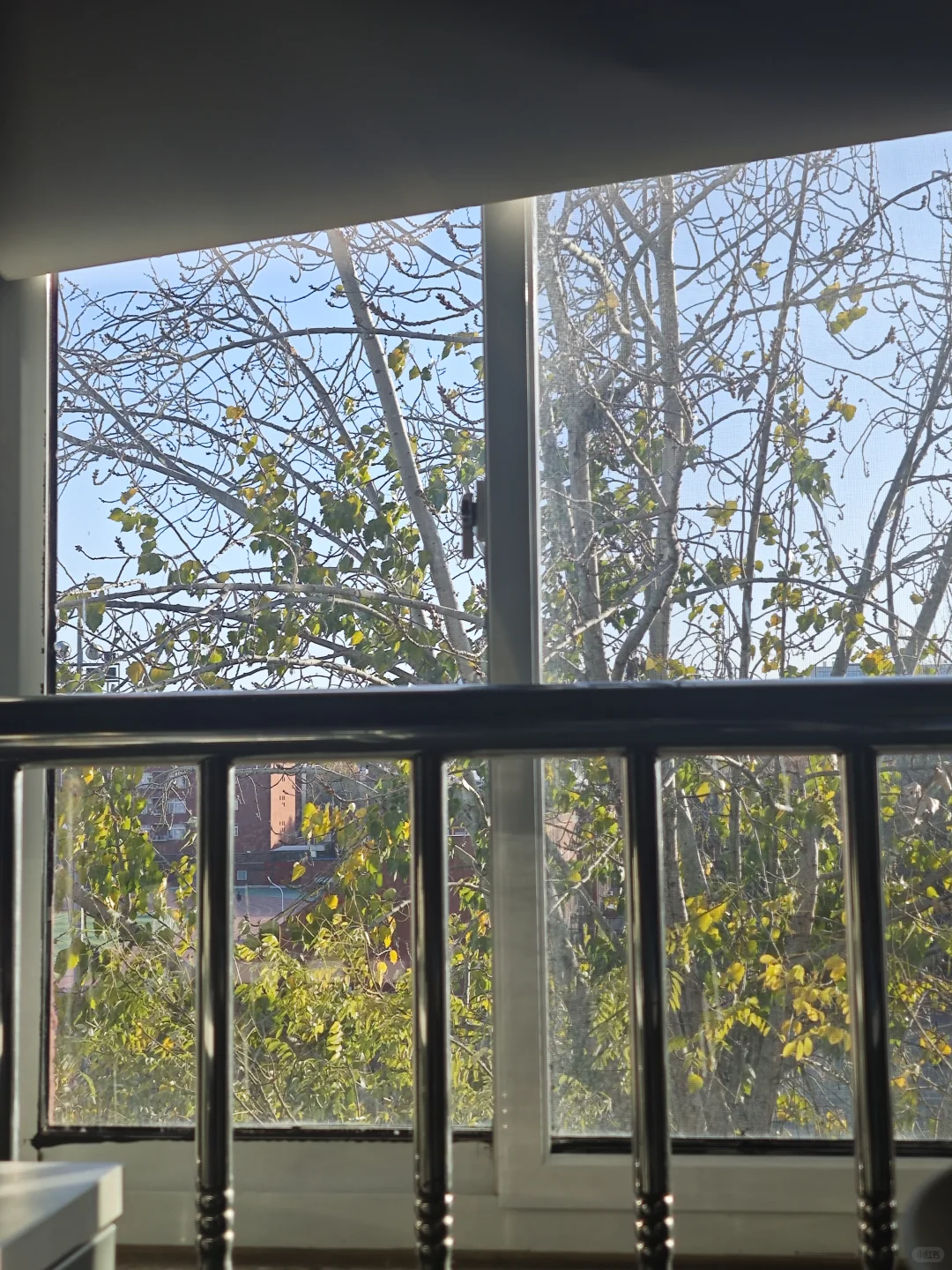 首经贸女大 ｜ 十二月 时而悦🎄