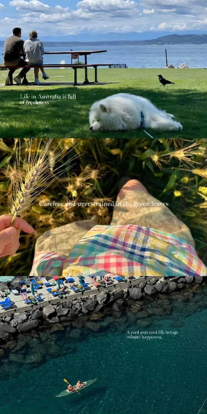 share｜小众拼接壁纸